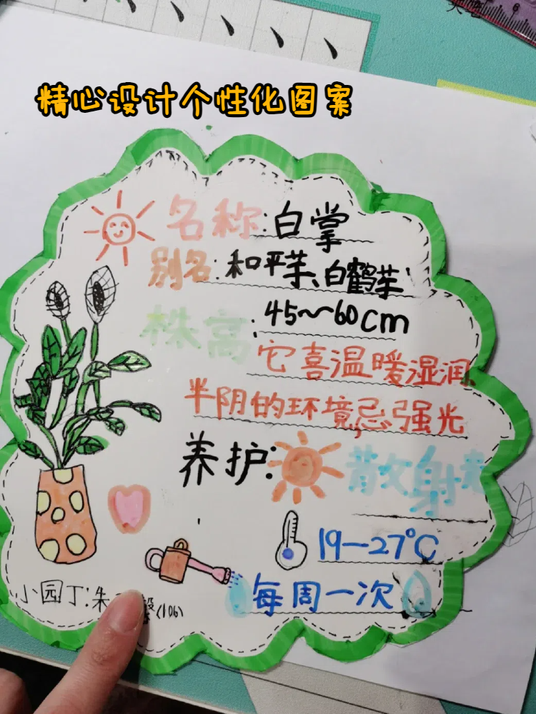 树木名片个性制作