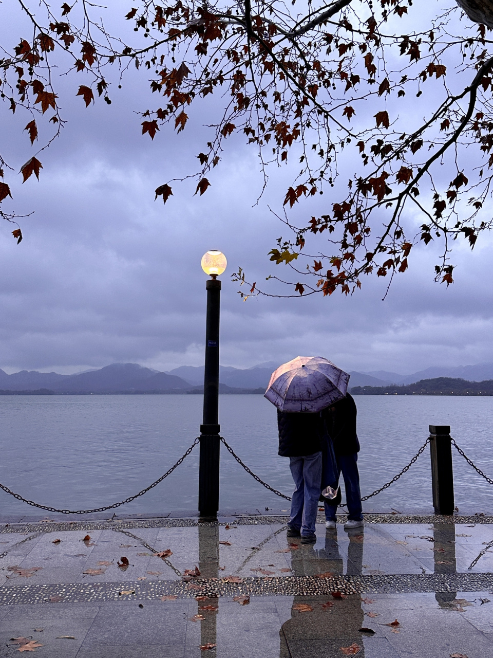 雨天的西湖太像la la land了吧 跟朋友们散着步,路灯亮起的一瞬间