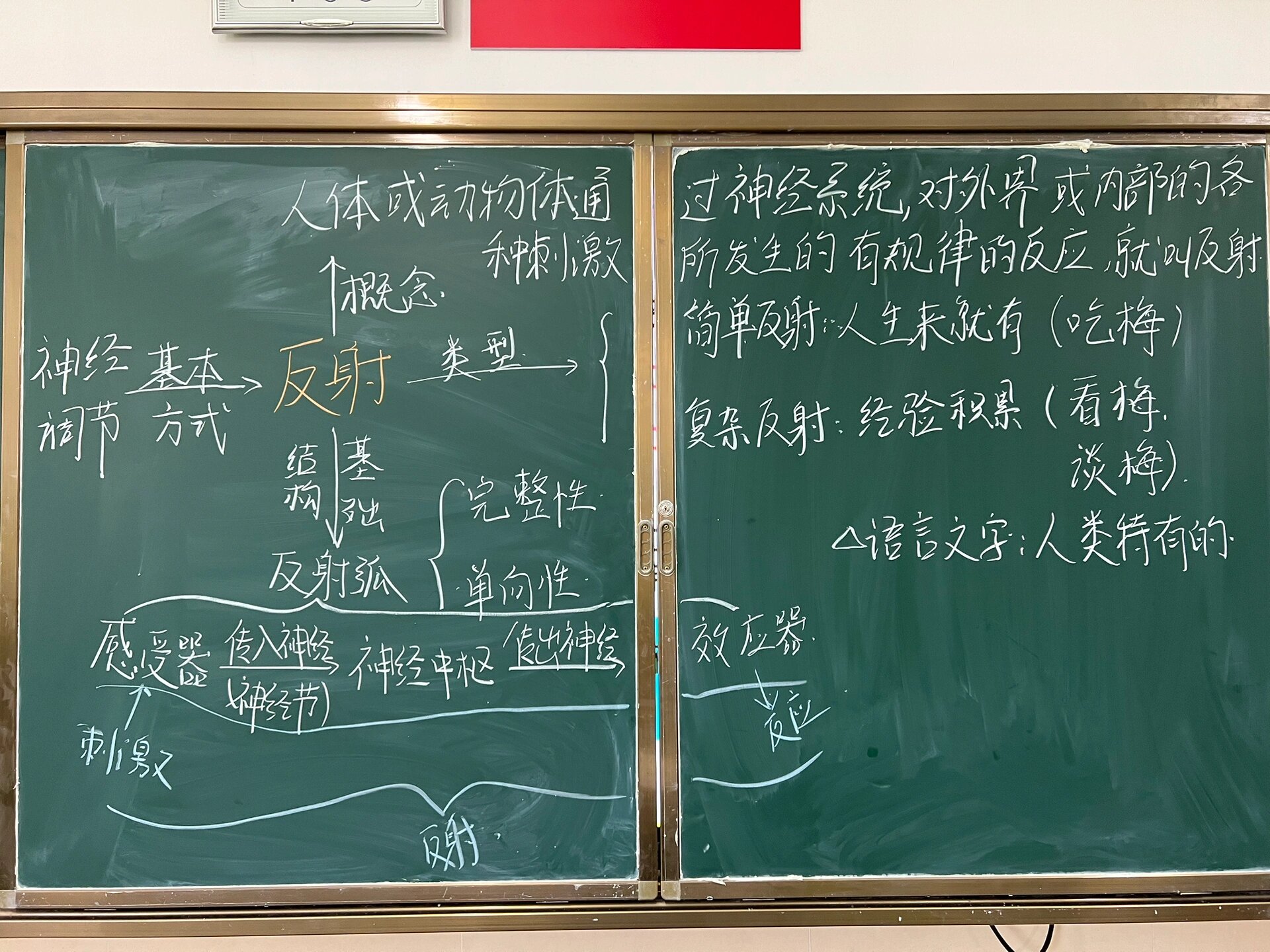 初中生物—反射