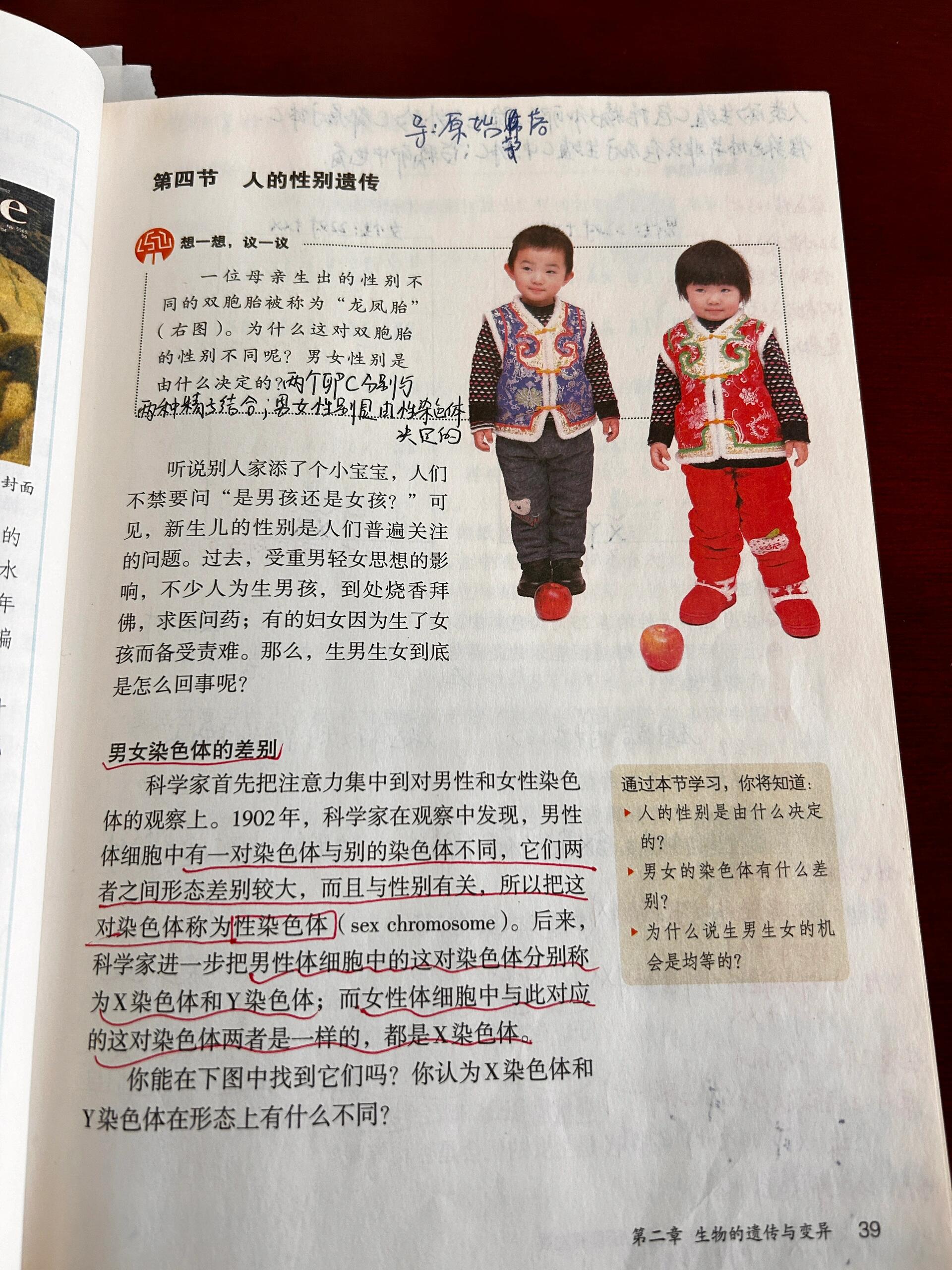 八下人教版生物 人的性别遗传