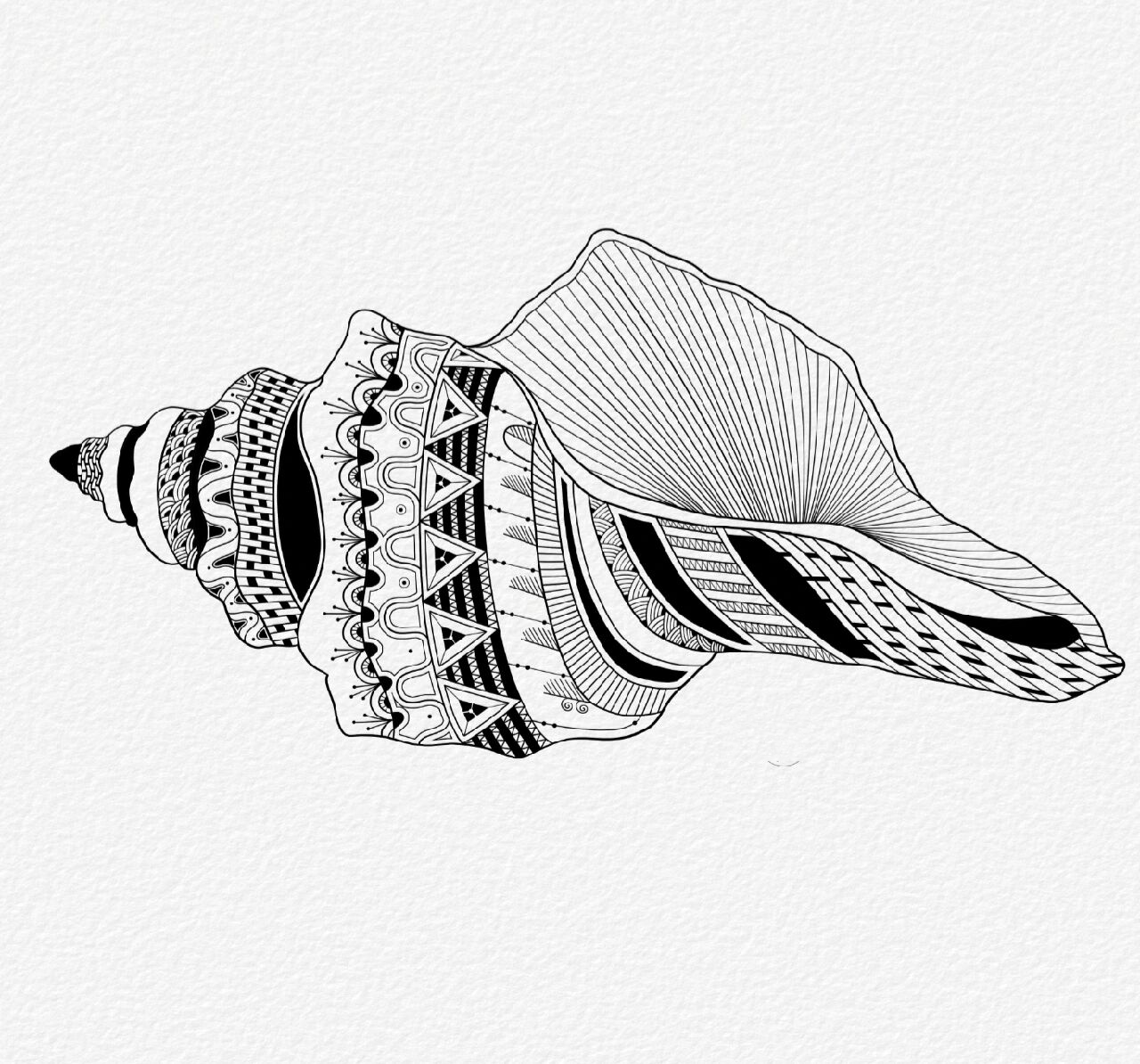 黑白装饰画--海螺(内附步骤图)  海螺的寓意是:1,永远在一起.