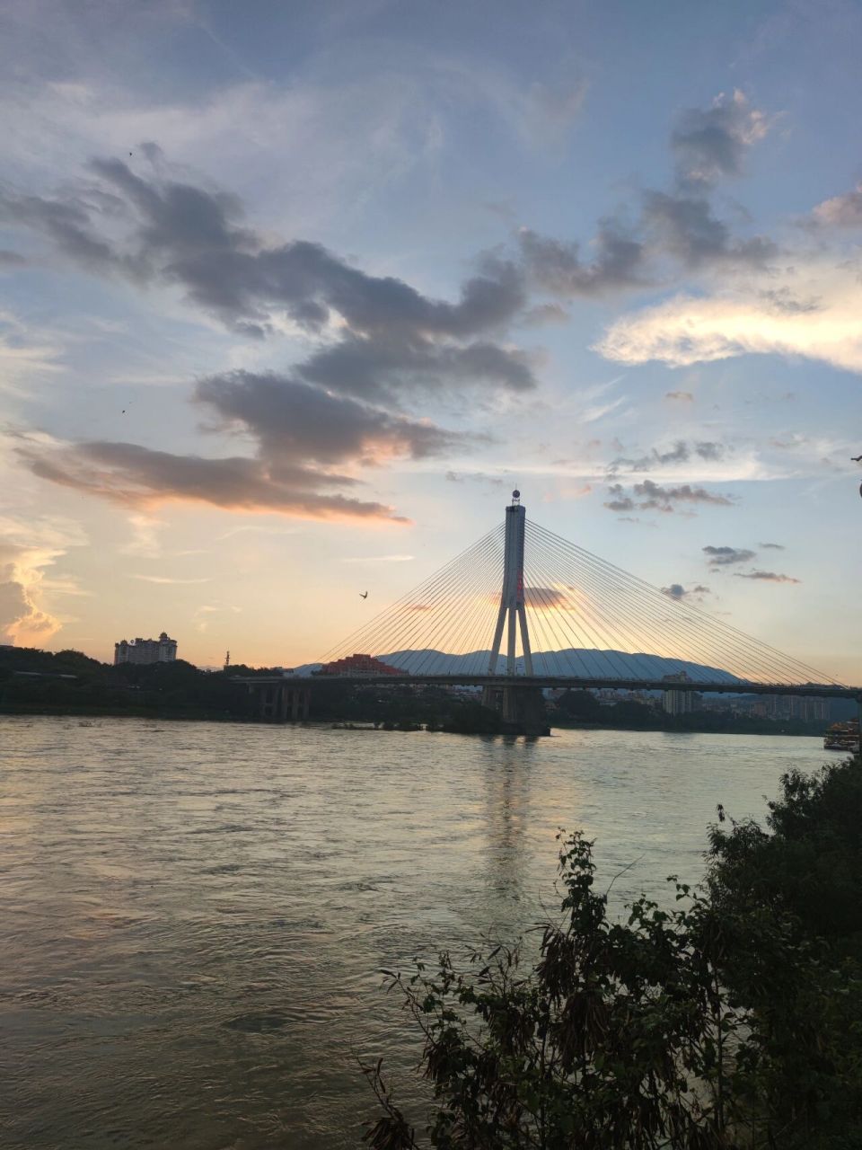 紫微分析:贪狼与廉贞夫妻