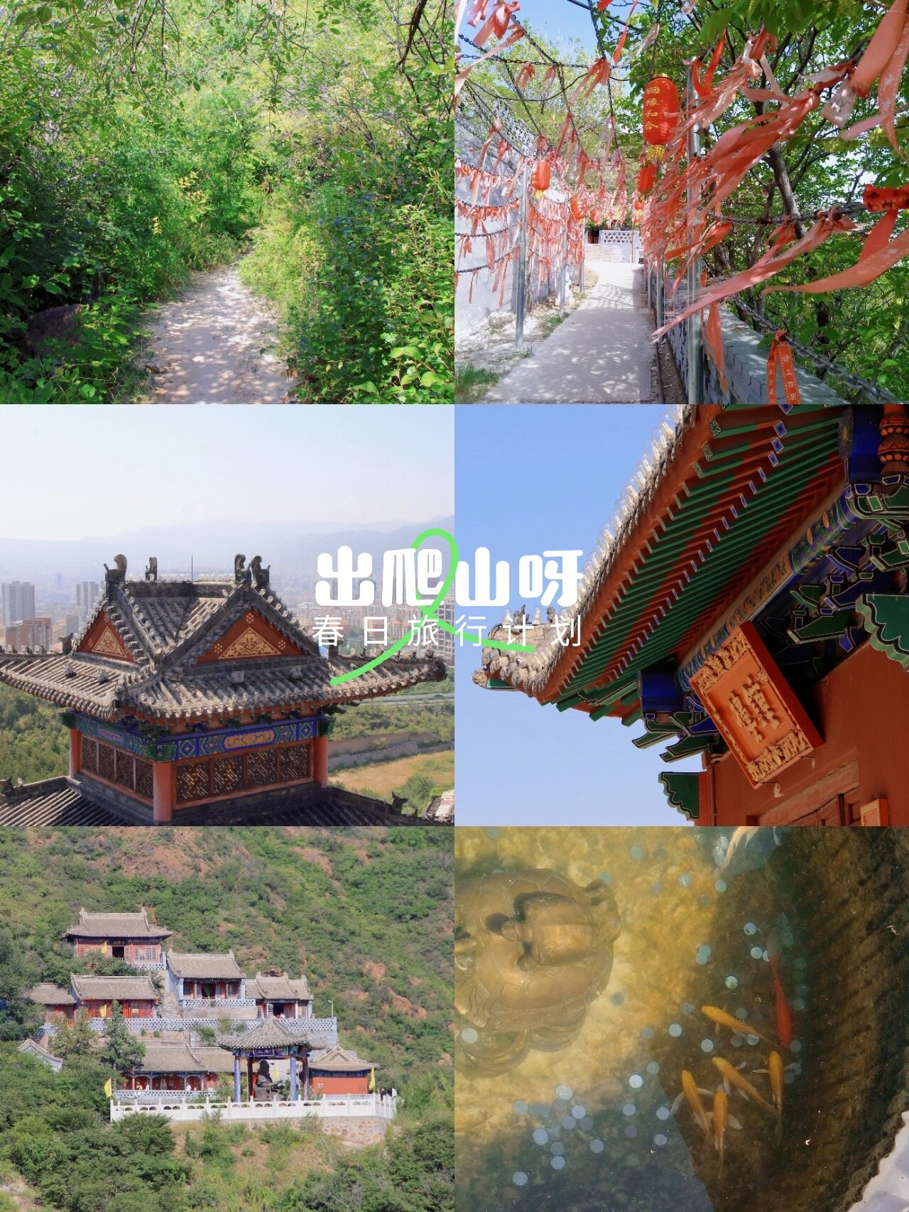 一起去爬山|张家口赐儿山