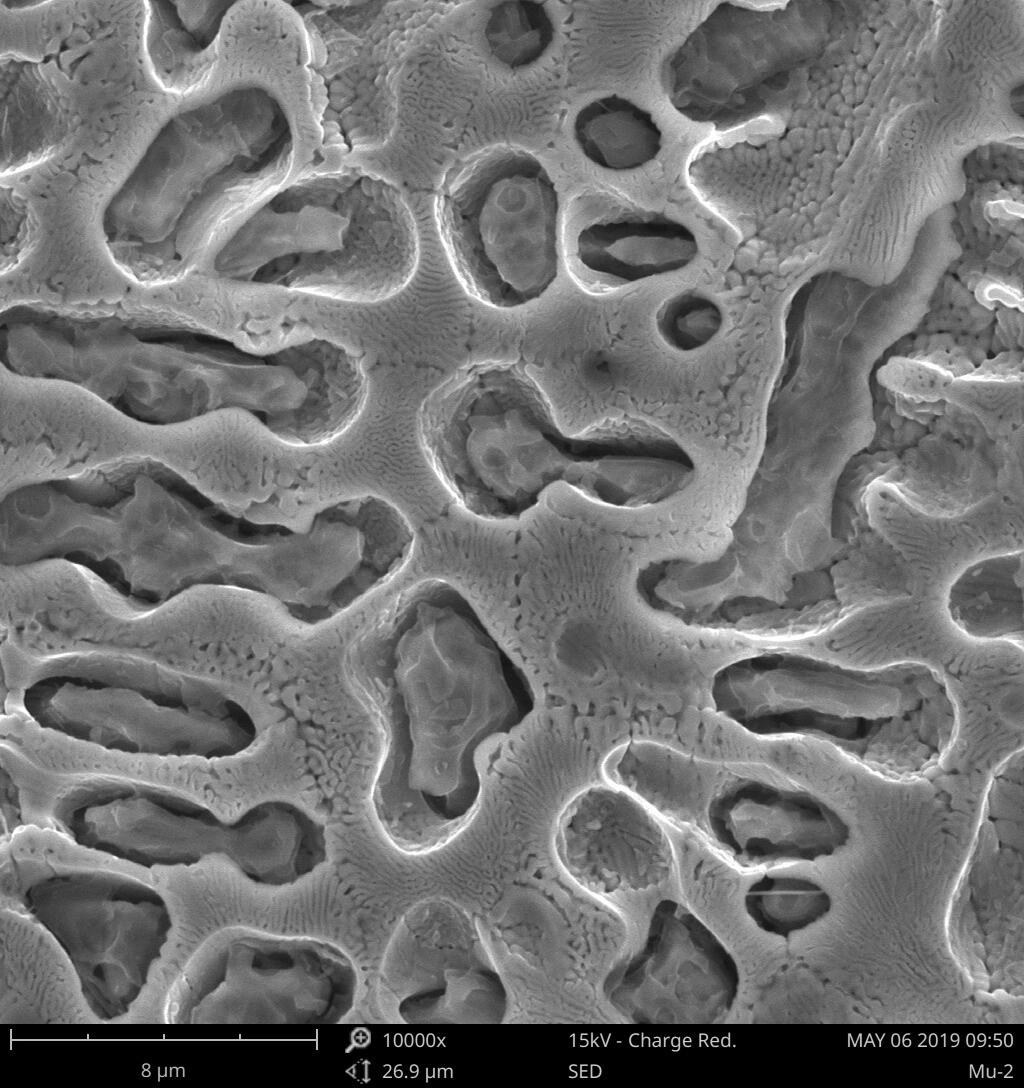 扫描电镜(sem)相关小知识 78一,扫描电子显微镜(sem)是利用二次电子