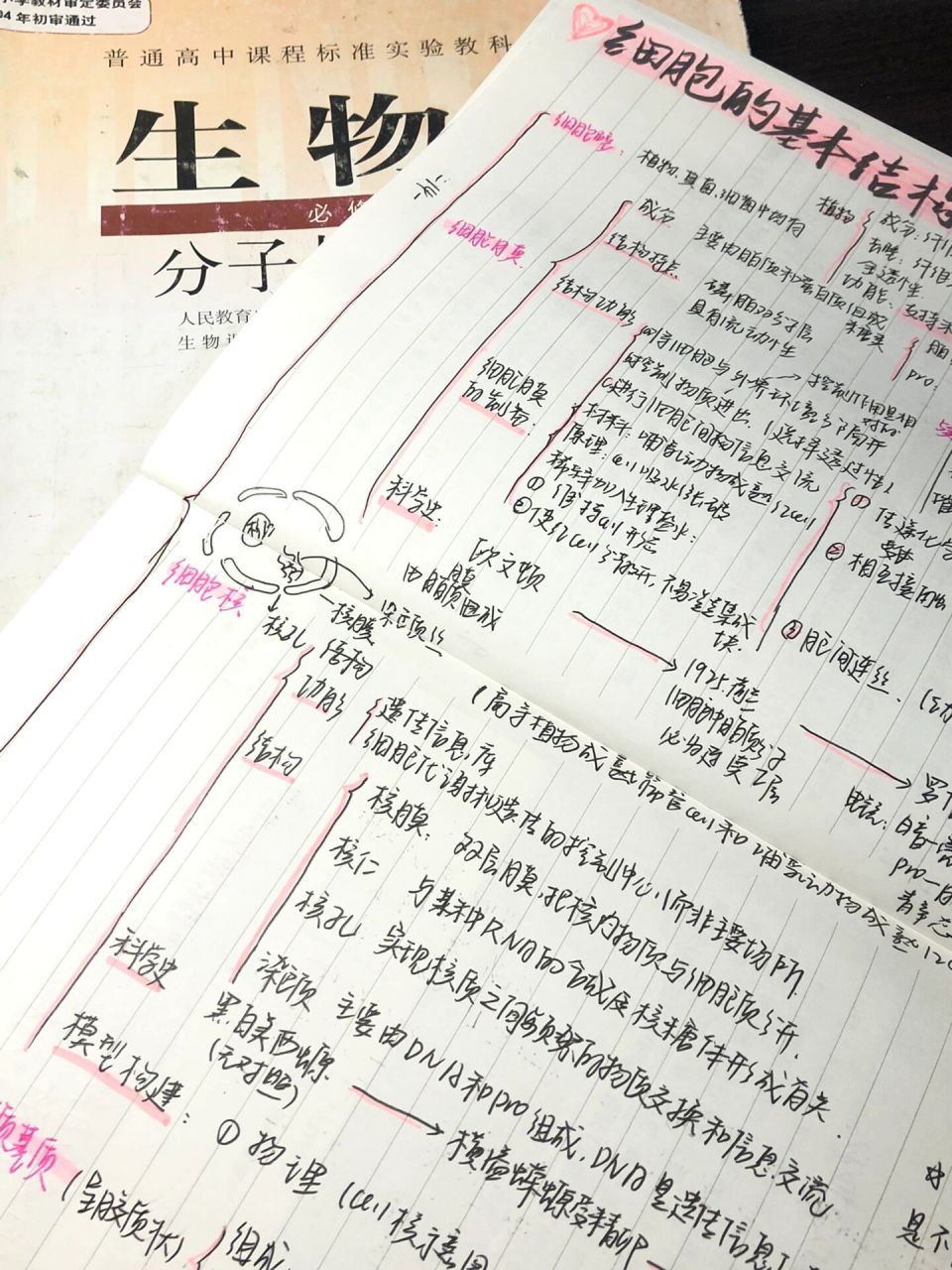 97生物必修一细胞的结构思维导图 生物必修一的细胞结构很全的思维