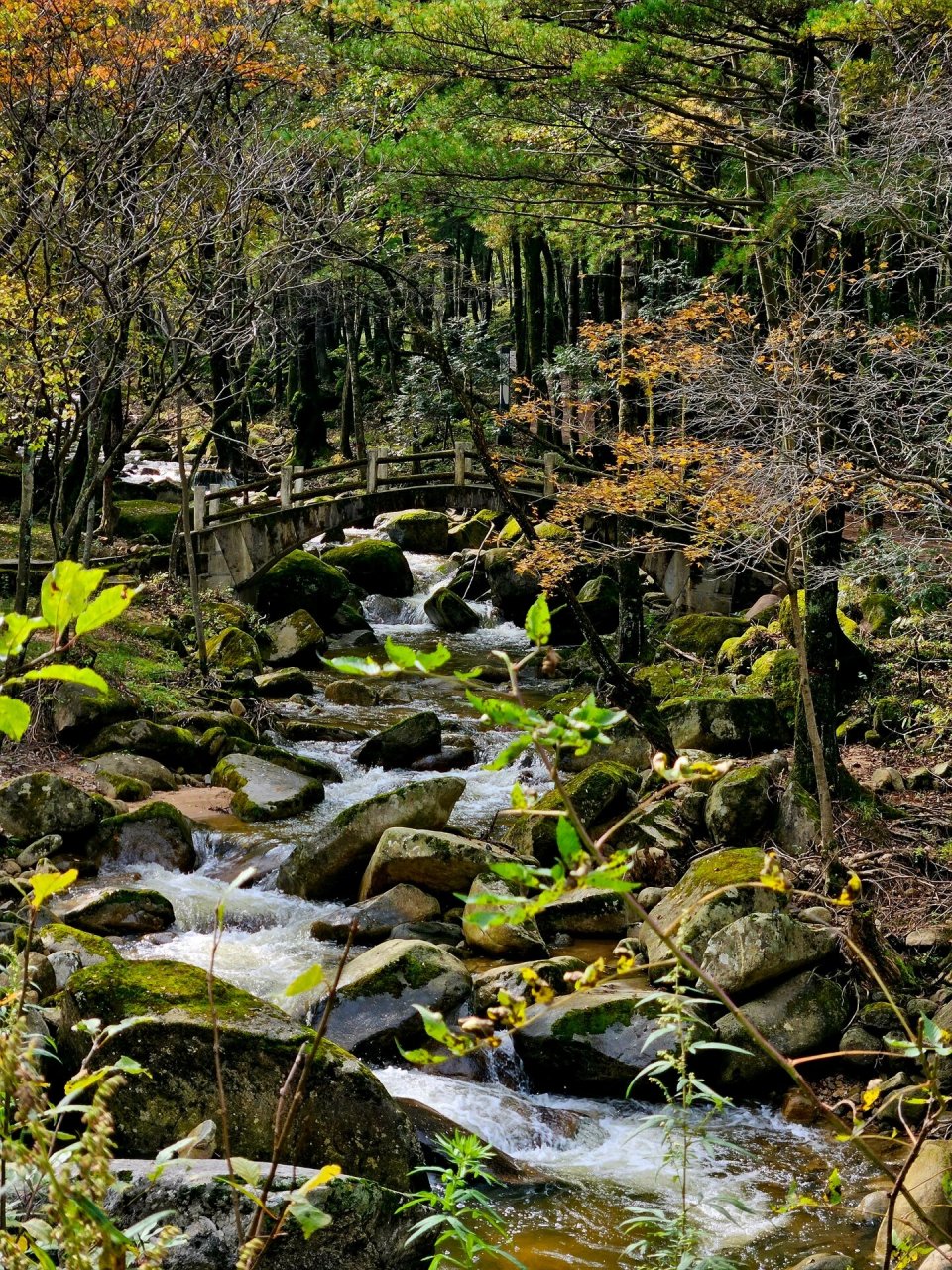 原来我的家乡|嘉陵江源头|这么美781578157815 难得休假