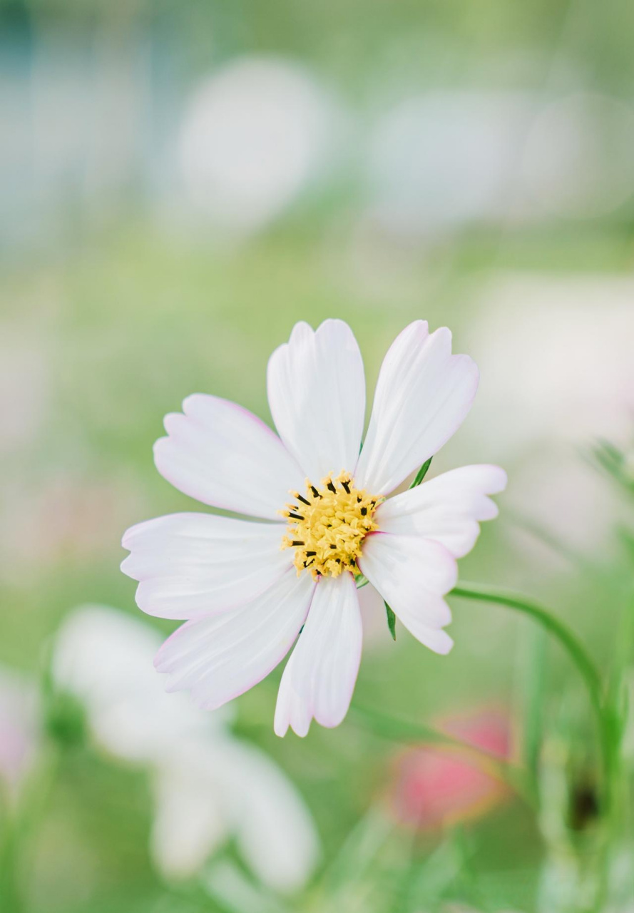 一个骄傲自满的人,永远也无法看到自己的不足之处.