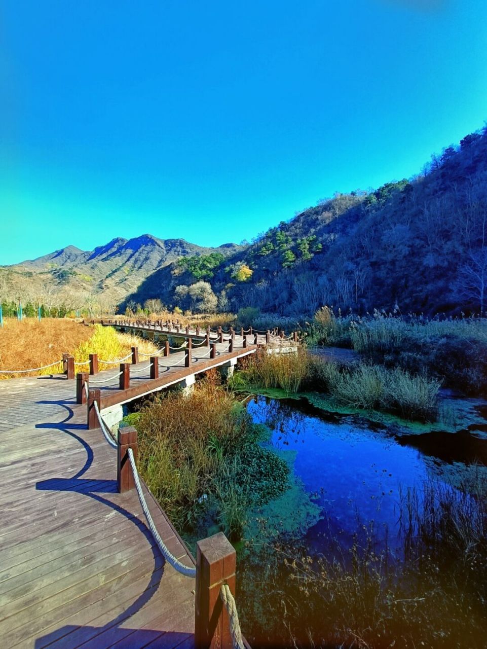 开车一小时‖怀柔栗花溪谷 免费的就是最棒哒 推荐指数781578