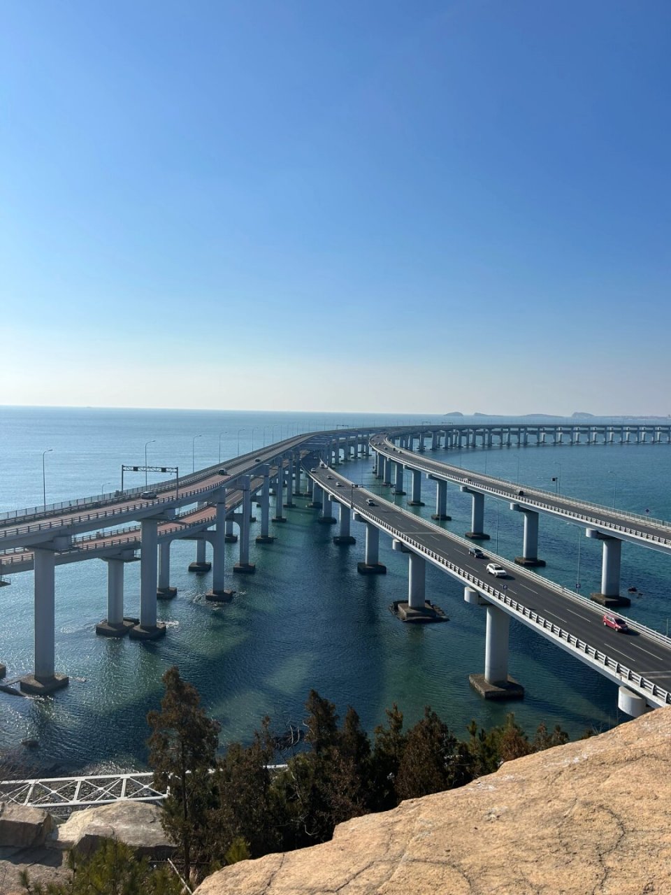 礁石上有海蛎子,不是海边长大的