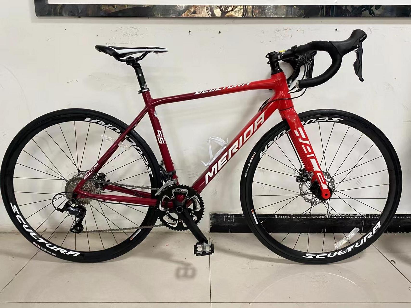 美利达斯特拉95d