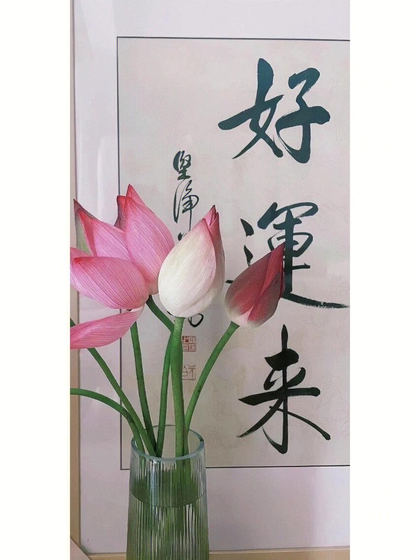 好运来壁纸来咯