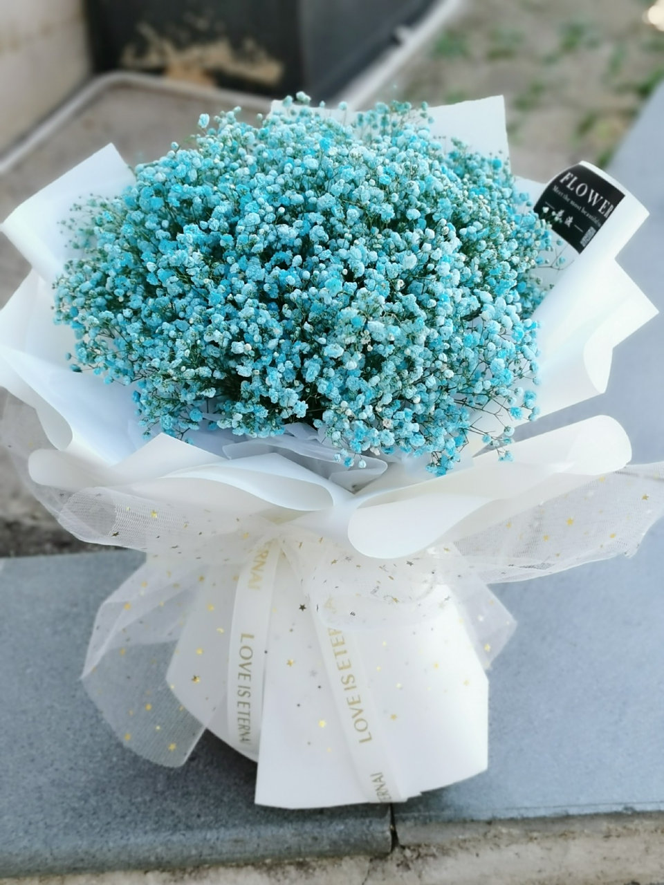 你就是我的满天欢喜 希望有一天 ,你喜欢的那个人捧着一束满天星 ,对