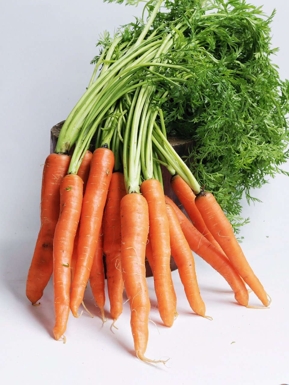 绘画素材:胡萝卜