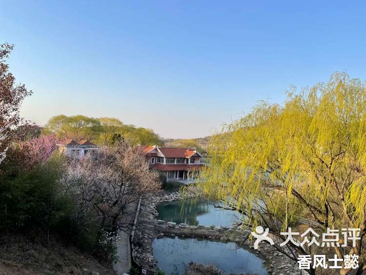 青岛十梅庵梅花节