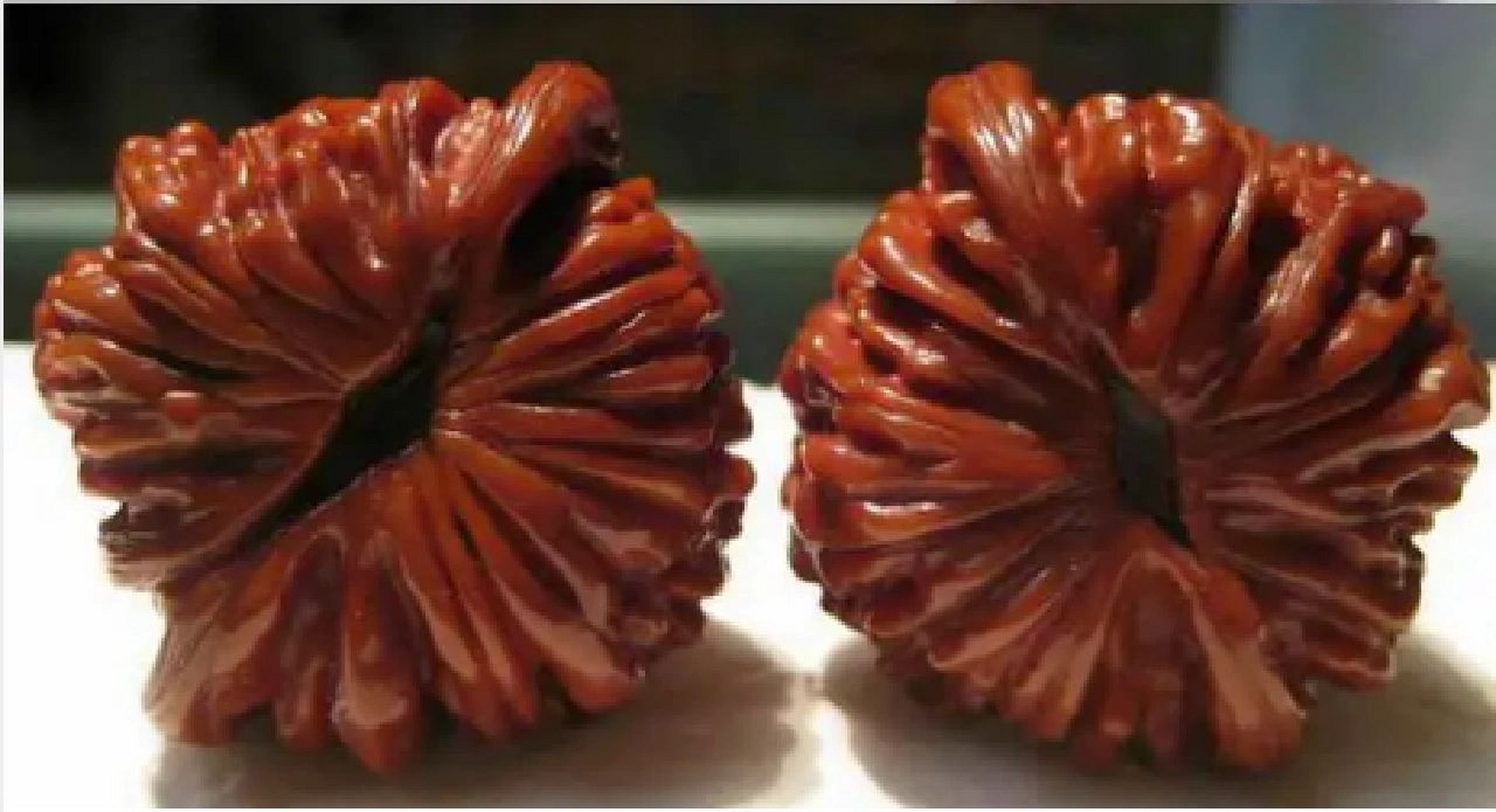 文玩核桃品种介绍(五)四座楼狮子头 一款以产地命名的狮子头品种,原