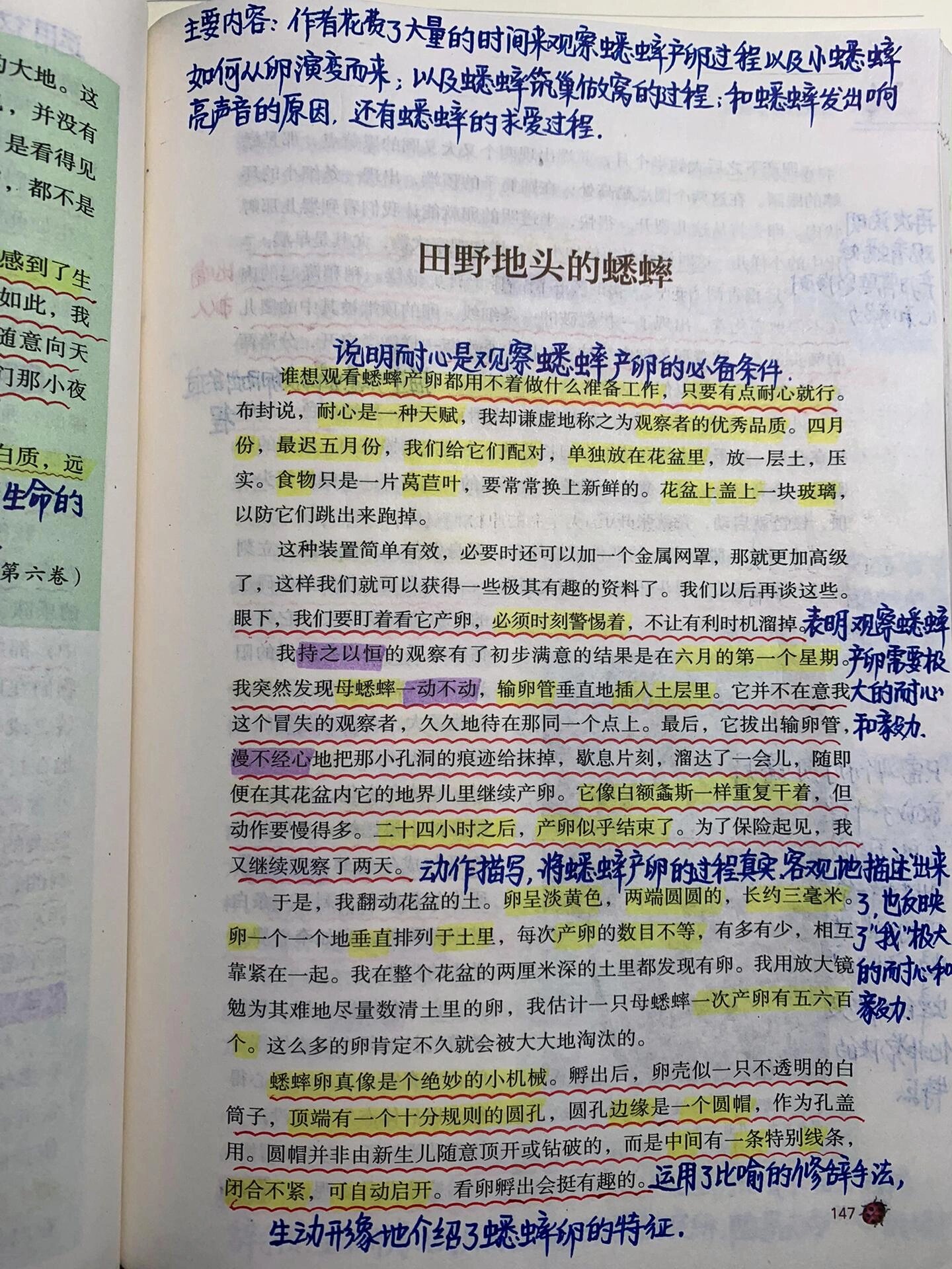 昆虫记 十六篇 田野地头的蟋蟀