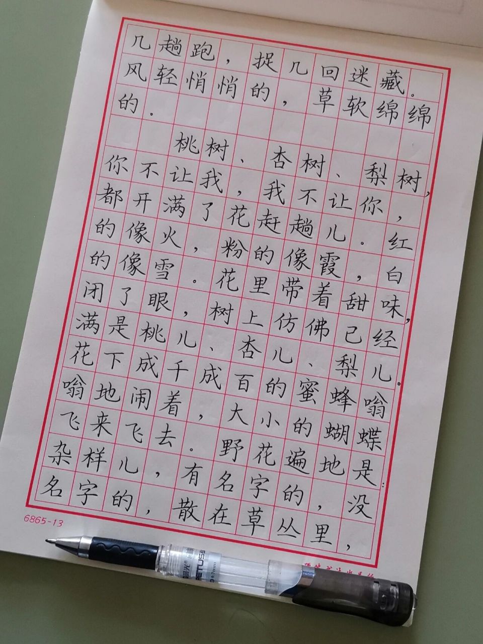 硬笔书法练习~散文《春》2