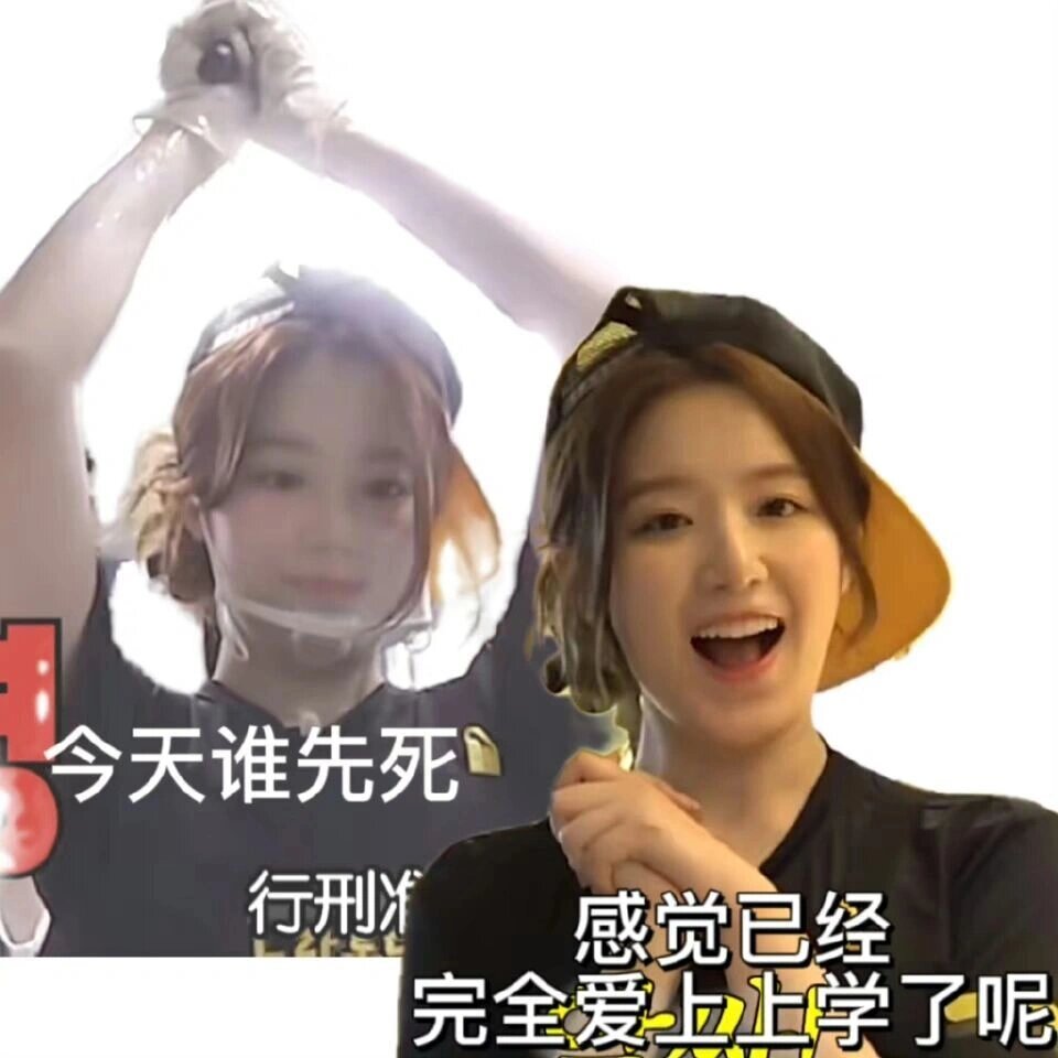 叶舒华表情包合集