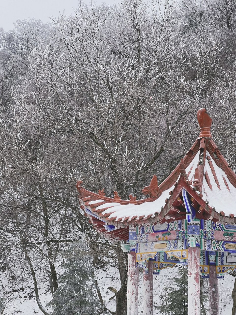 黄花岭雪景图片