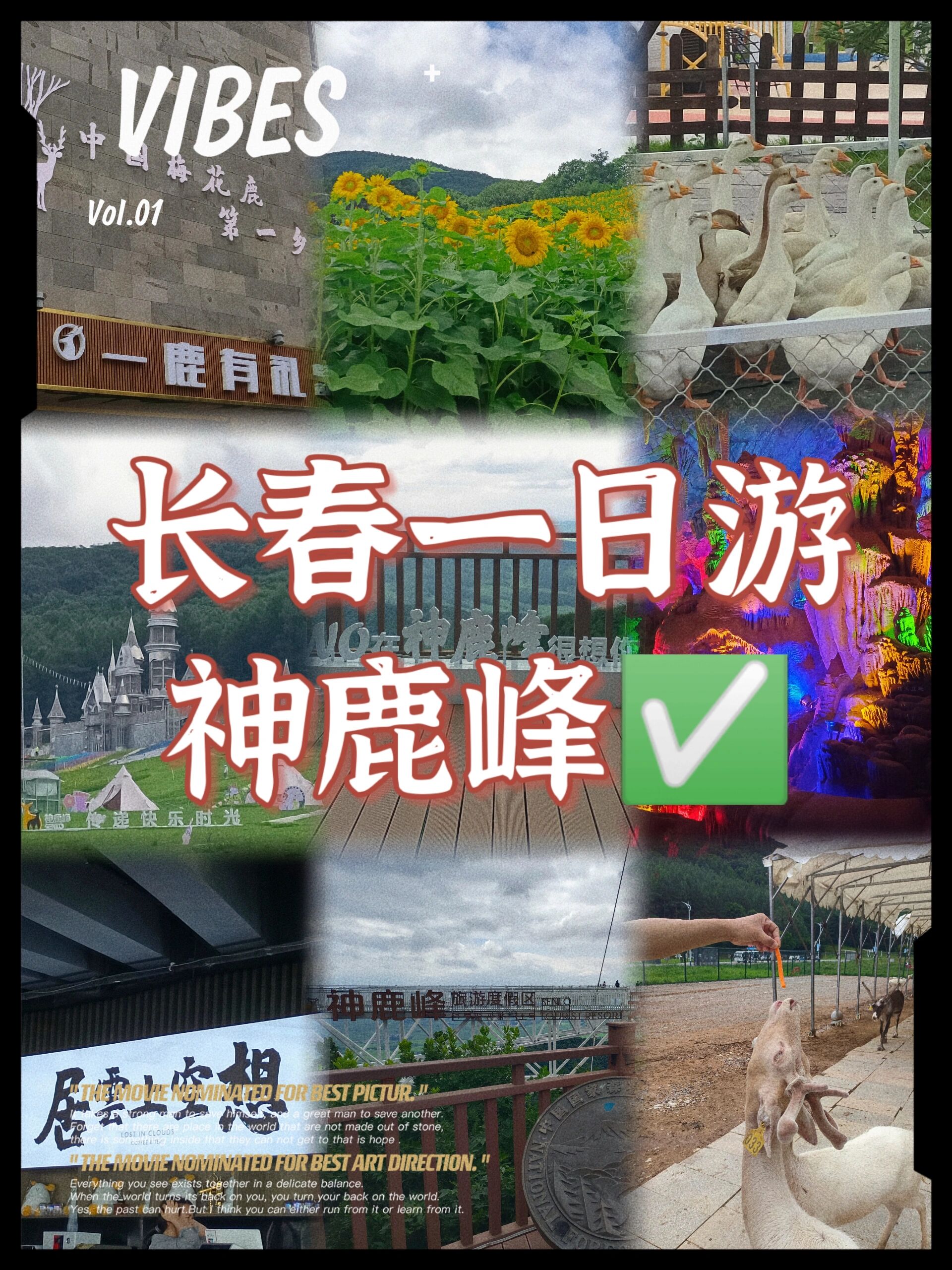 长春神鹿峰04度假区|一日游必去打卡地73