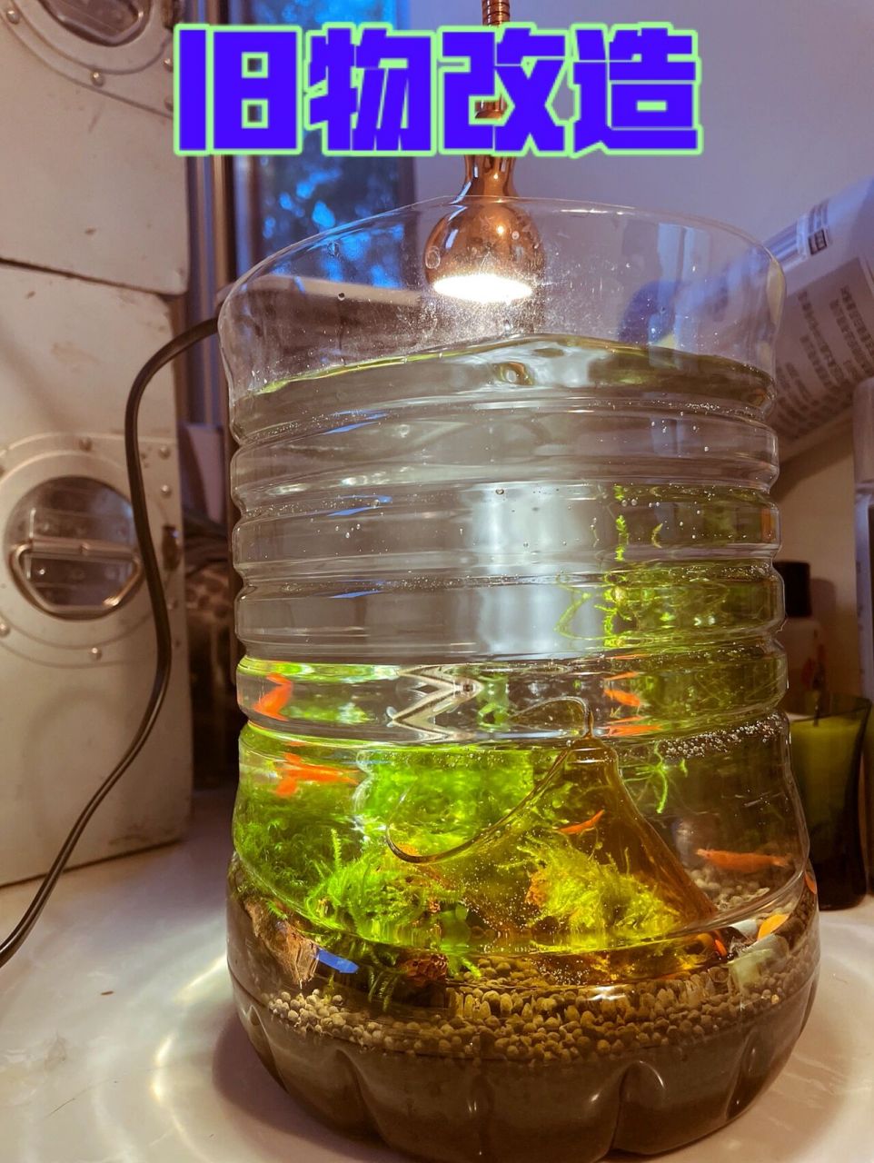 用5l矿泉水桶做一个水草缸～ 今天突发奇想,想用一个矿泉水瓶做一个