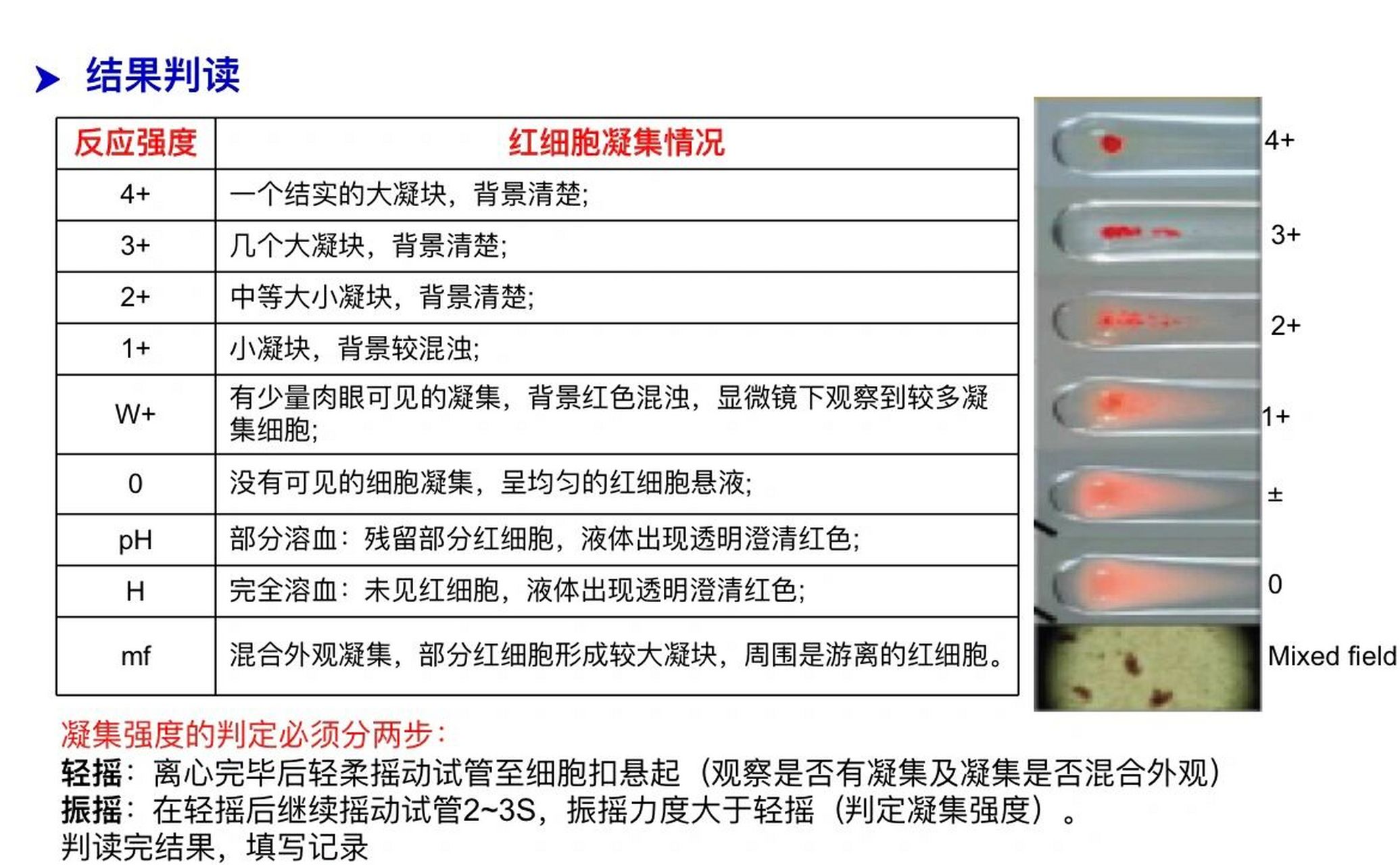 微柱凝胶血型卡图片