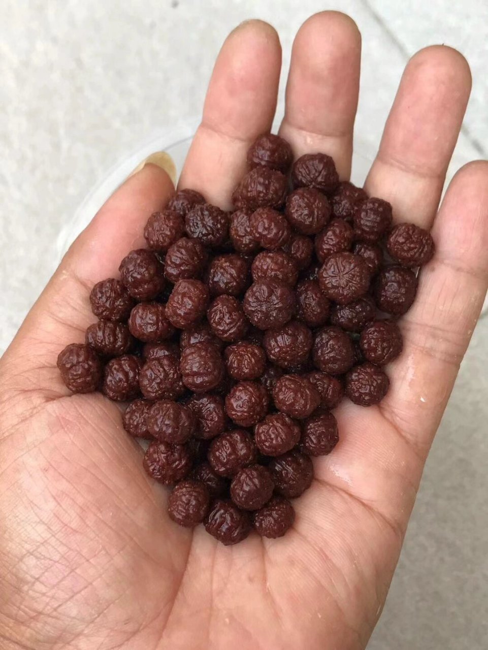 帮新手小白24h鉴定树籽类文玩,在线答疑 盘玩树籽8年有余, 帮新手小白