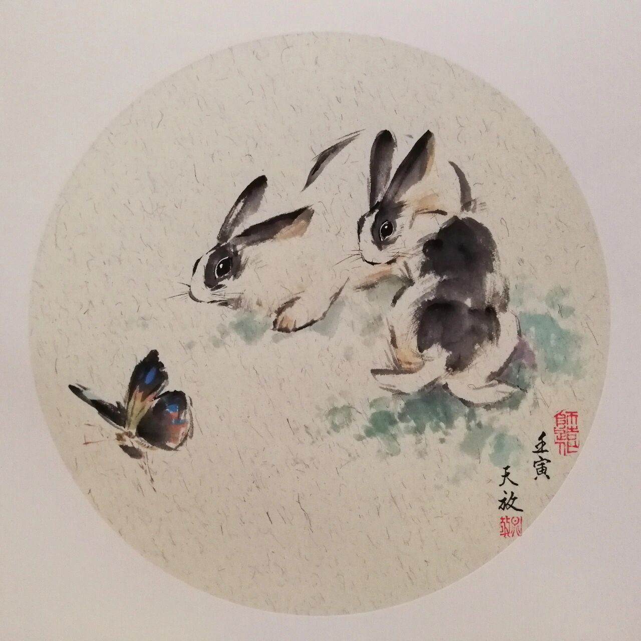 兔年画兔:国画兔子《两小无猜》 寓意:玉兔戏蝶寓意双喜临门,迎新春