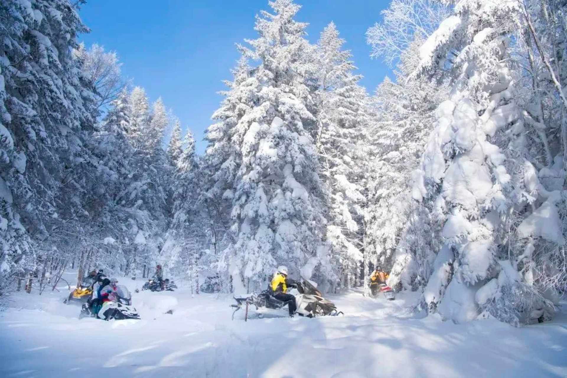 延边仙峰滑雪场图片