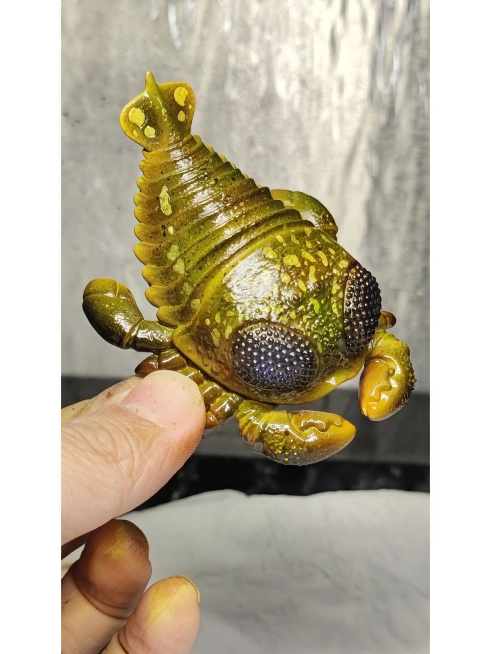 板足鲎你认识吗? 很古老很古老的生物,你知道这种生物吗? 这是个潮玩.