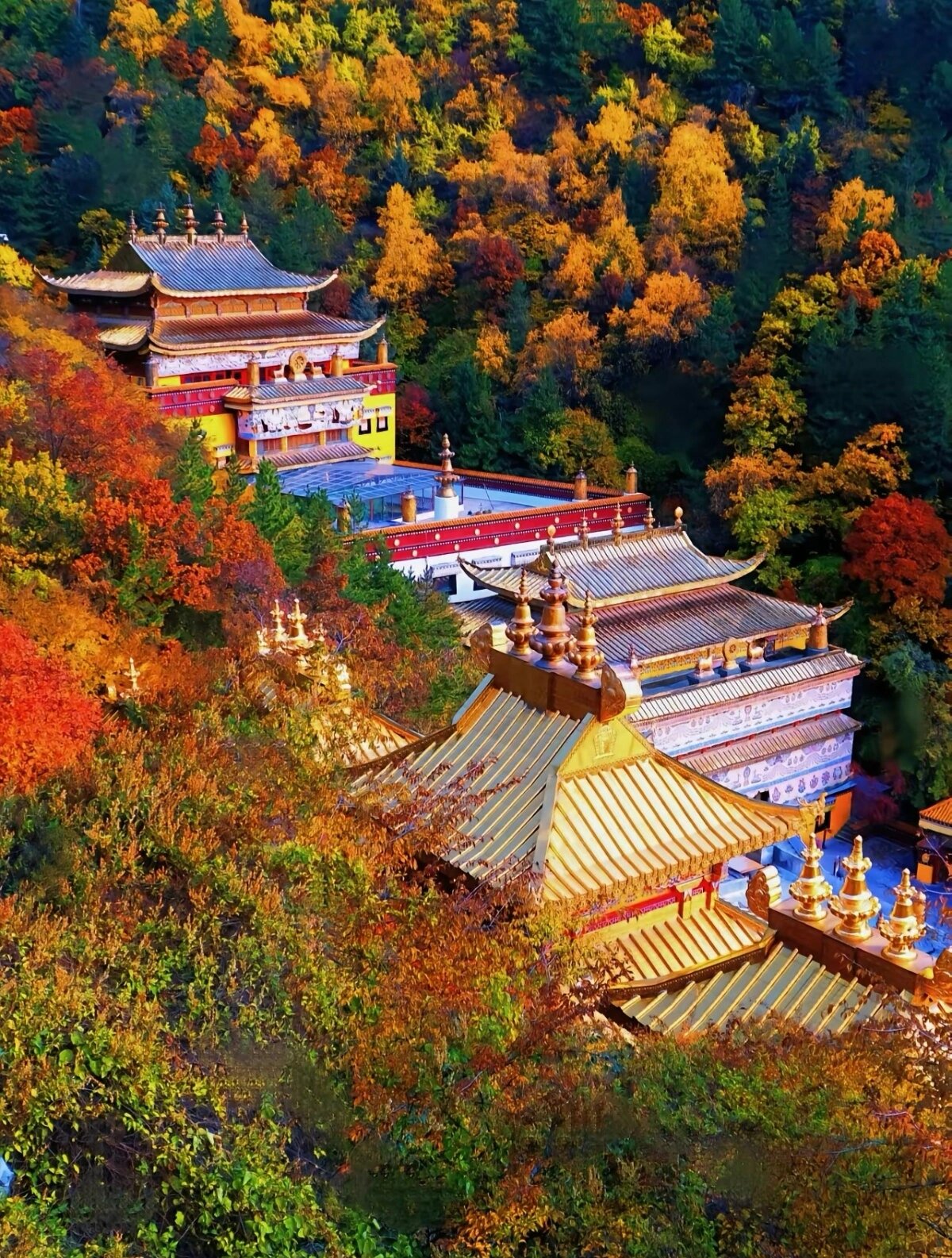石佛沟国家森林公园