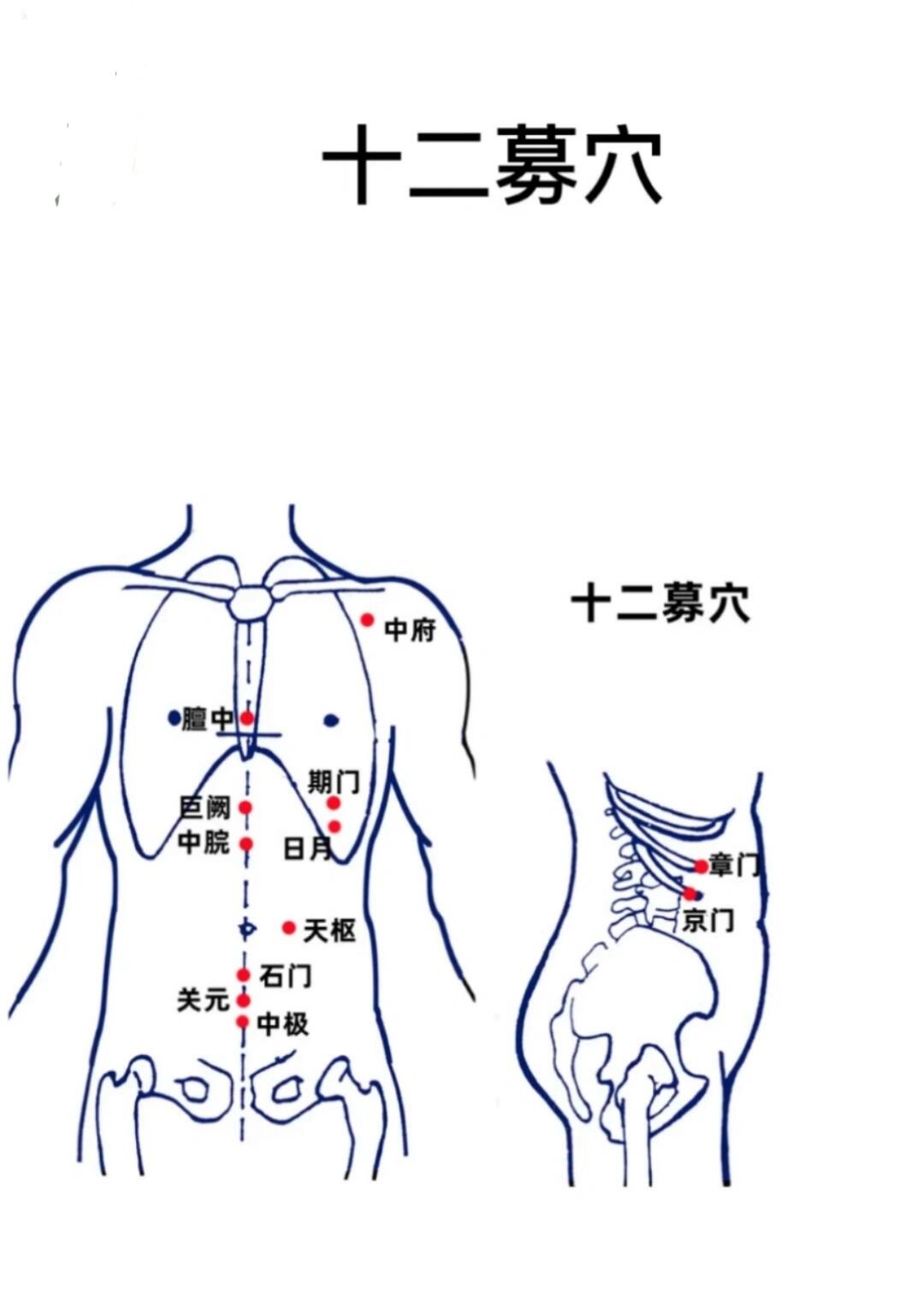 十二募穴 是脏腑经气 汇聚于胸腹部的腧穴