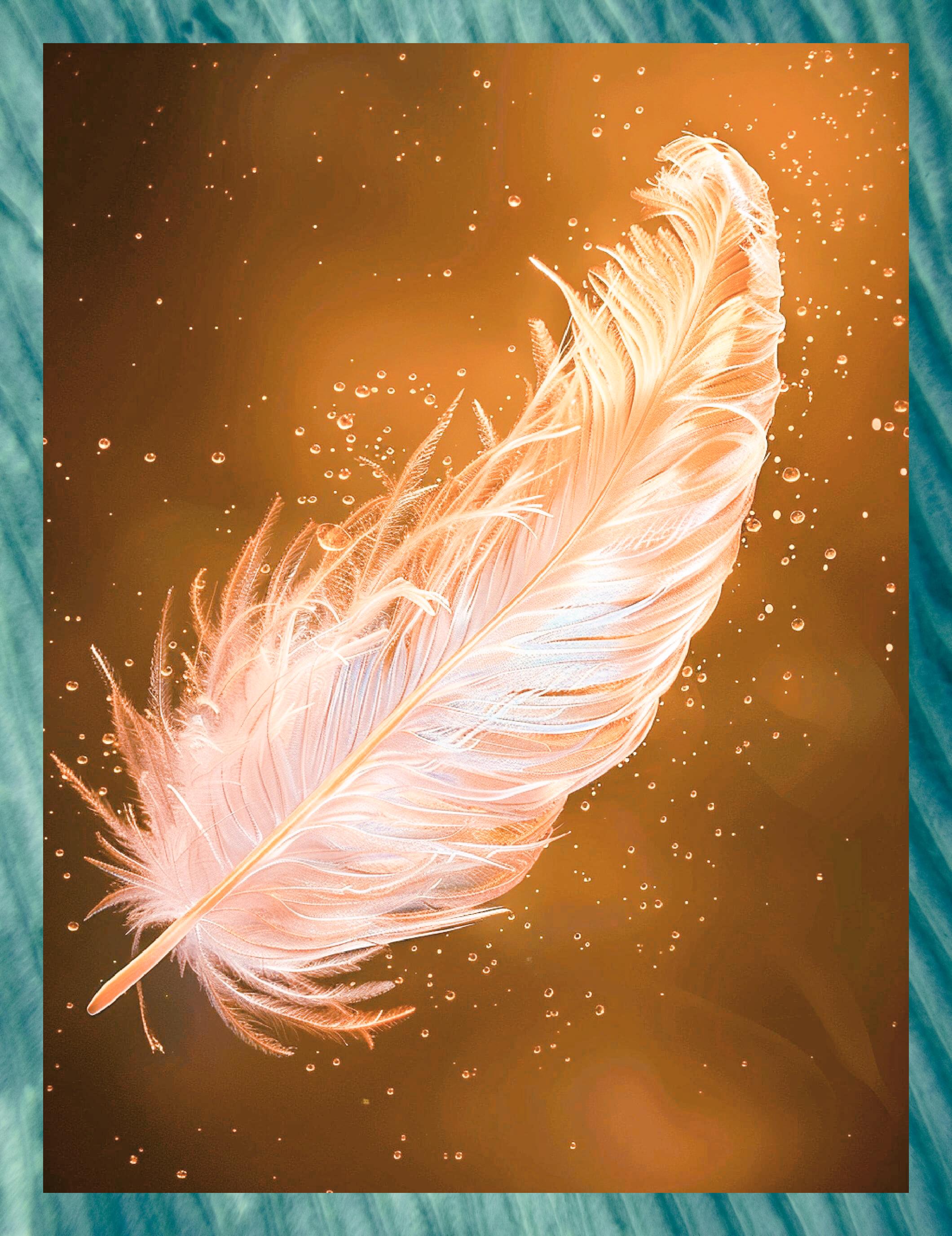 这可是传说中凤凰的一根羽毛,凤凰啊,那可是神话里代表着