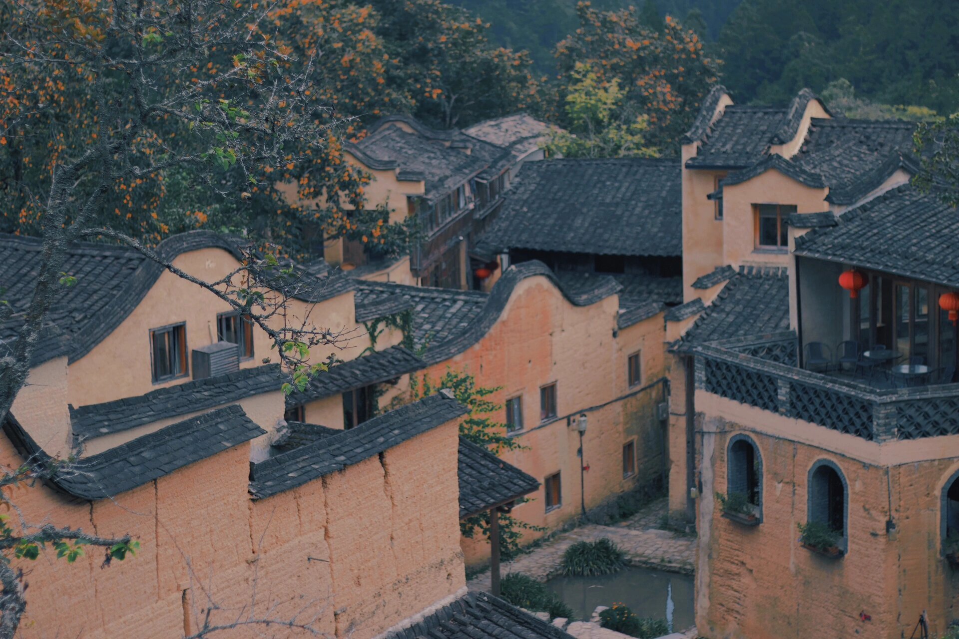 拍摄地点:宁德屏南县厦地村-四坪村-龙潭村 拍摄91:佳能70d 镜头