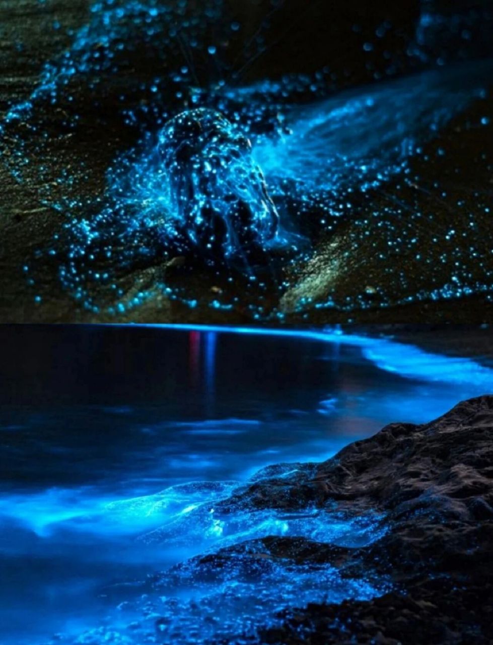 浙江舟山花鸟岛9215超美荧光海903天2夜 花鸟岛.