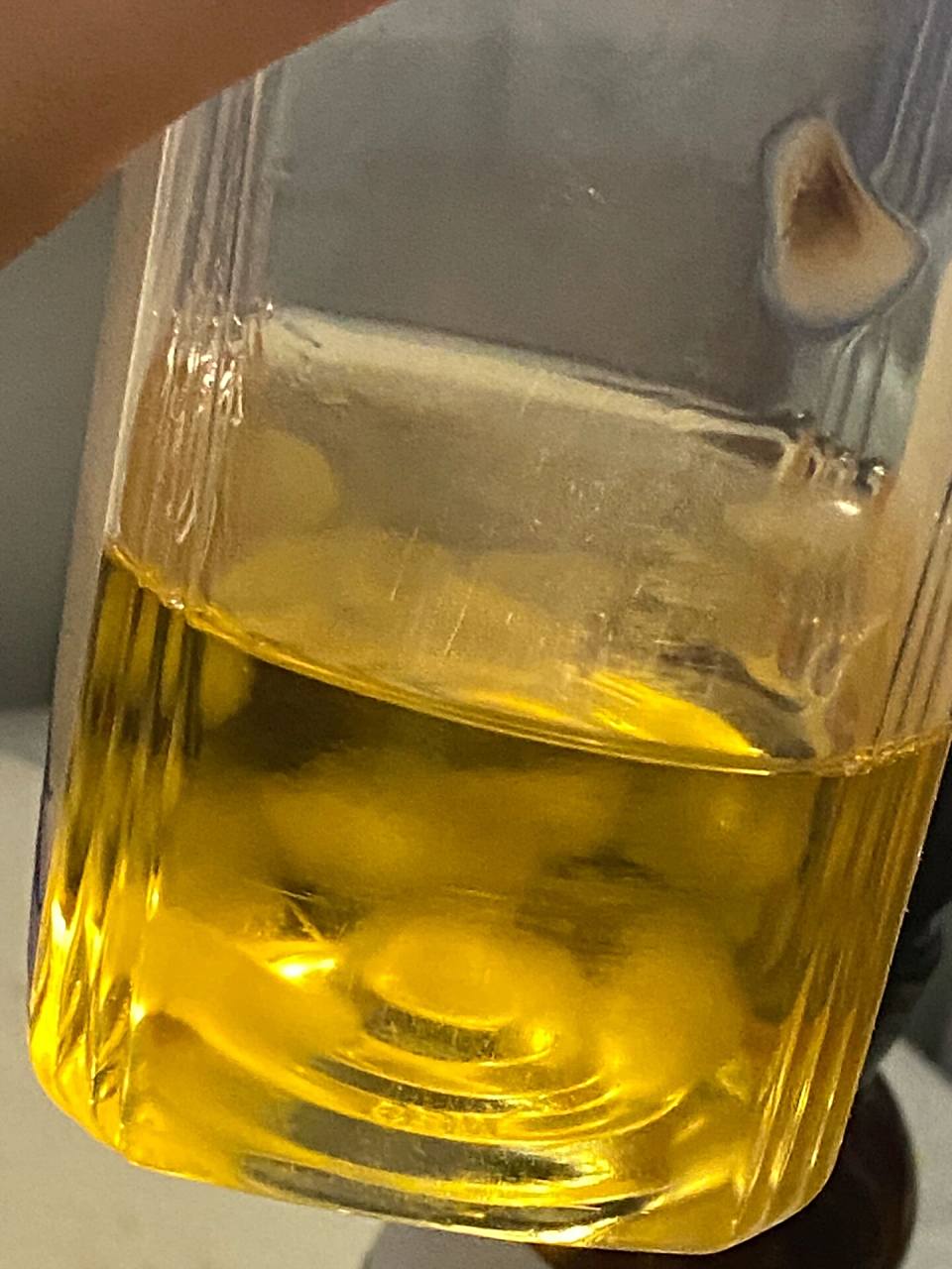 没喝完的茶养出来茶菌了 有点意外,没喝完的东方树