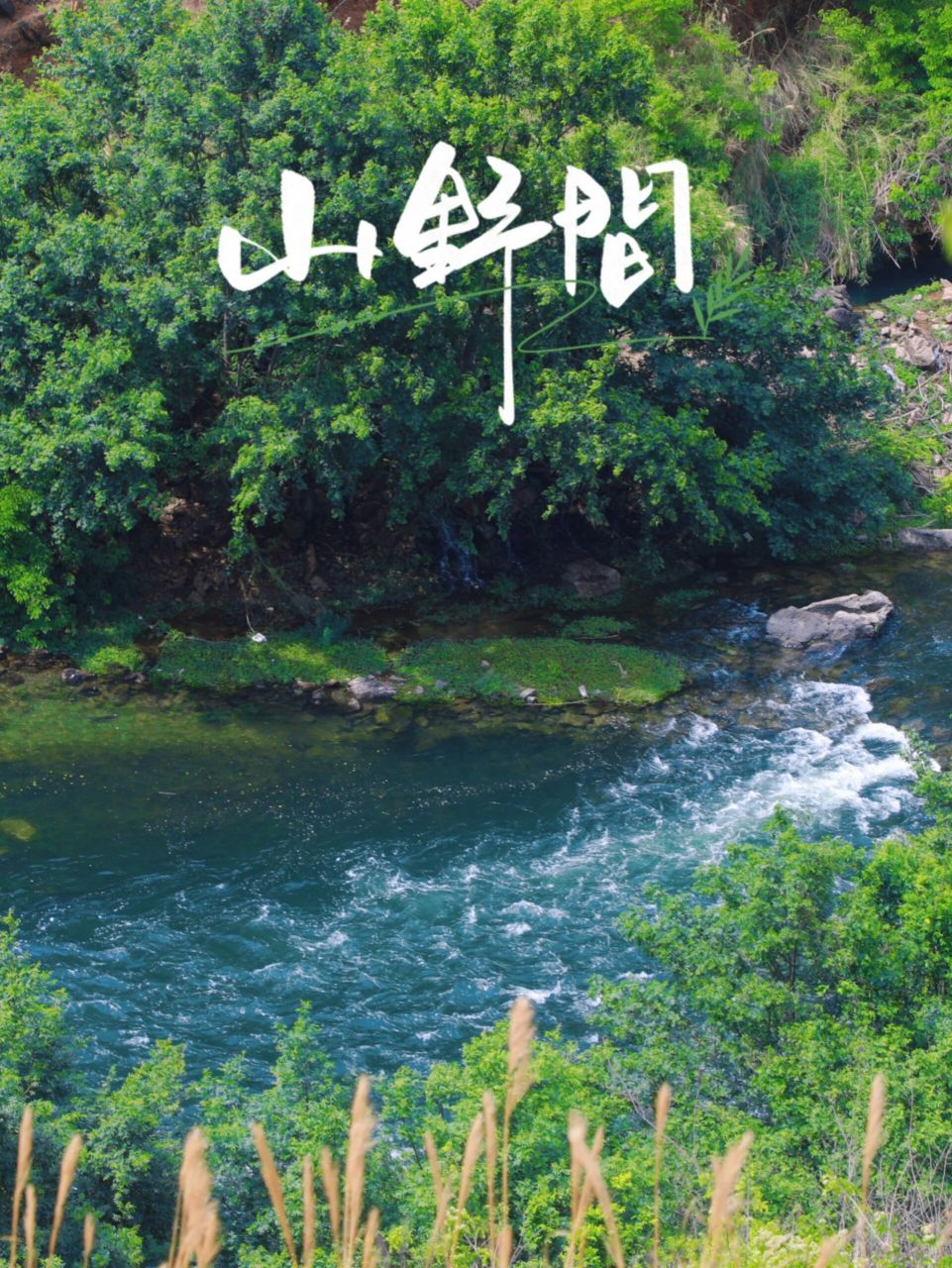 02 宜良苗王谷,玩水,露营,轻徒步,一秒回到童年,欢乐无限!