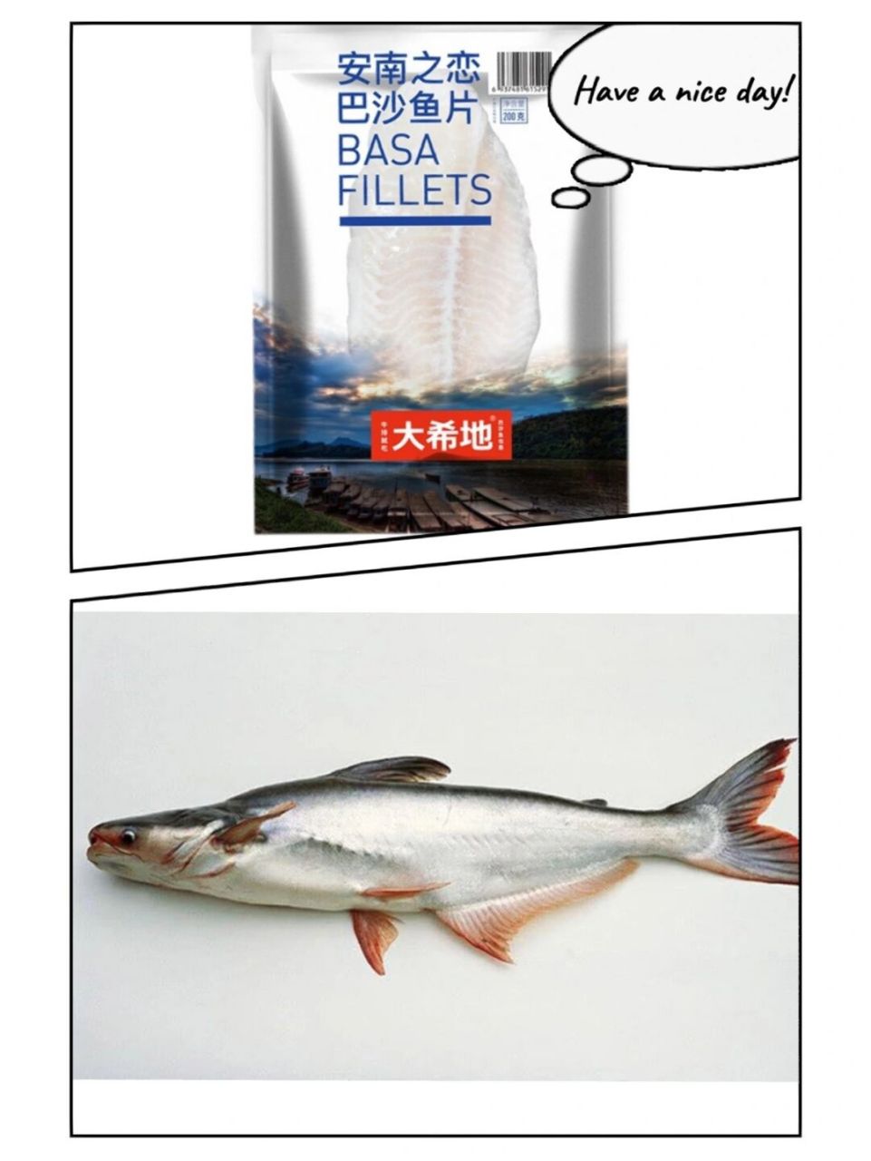 92巴沙鱼是湄公河的鲶鱼,巴沙鱼原本的肉色是偏粉红色的.