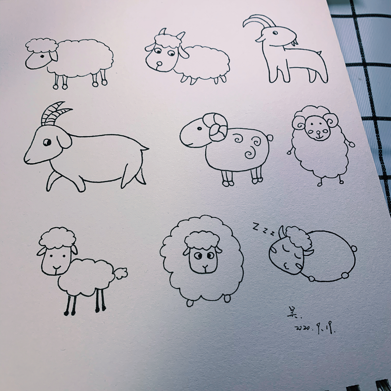 画小羊简笔画 可爱图片