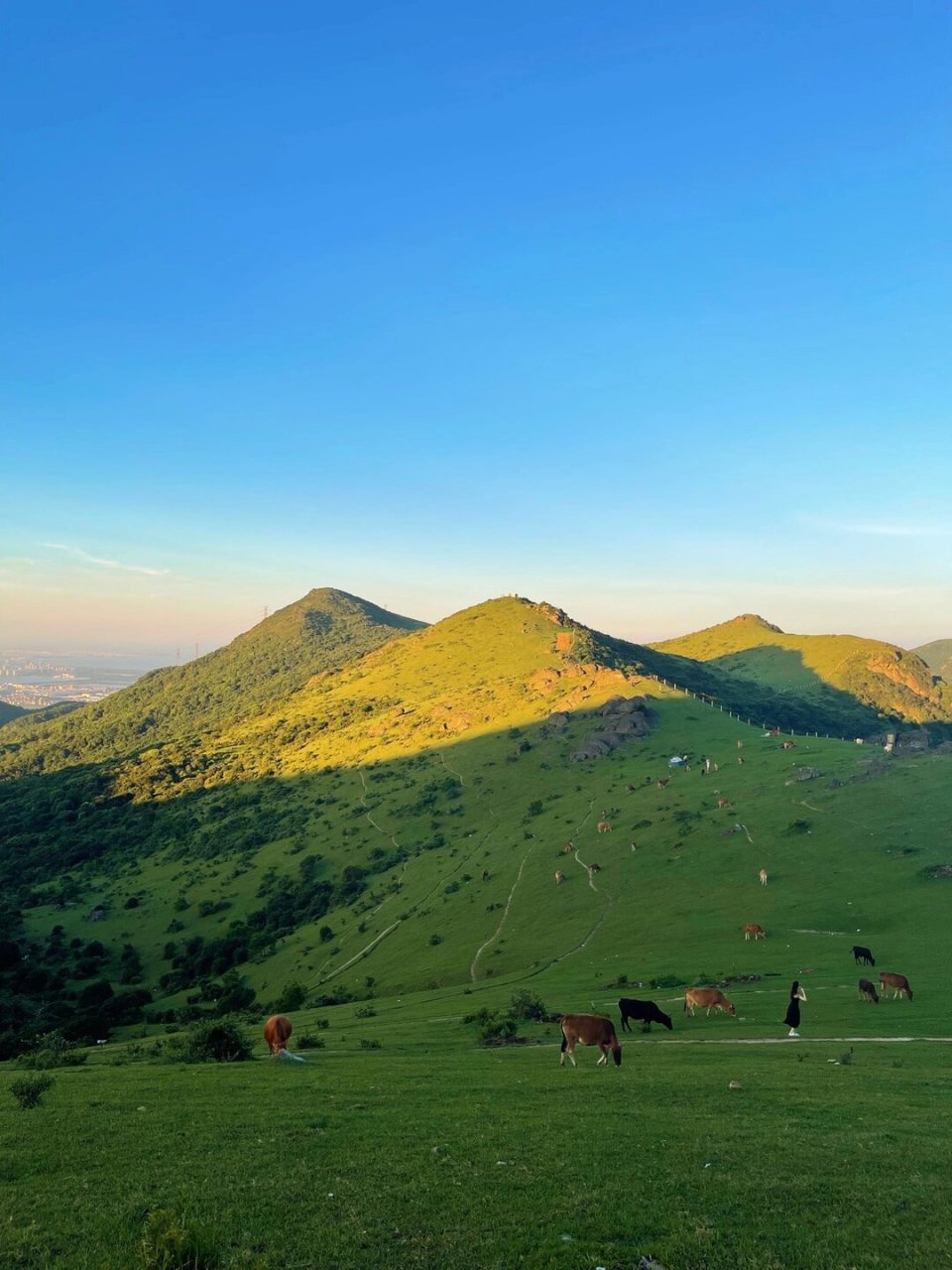 大姆山原生态草原图片