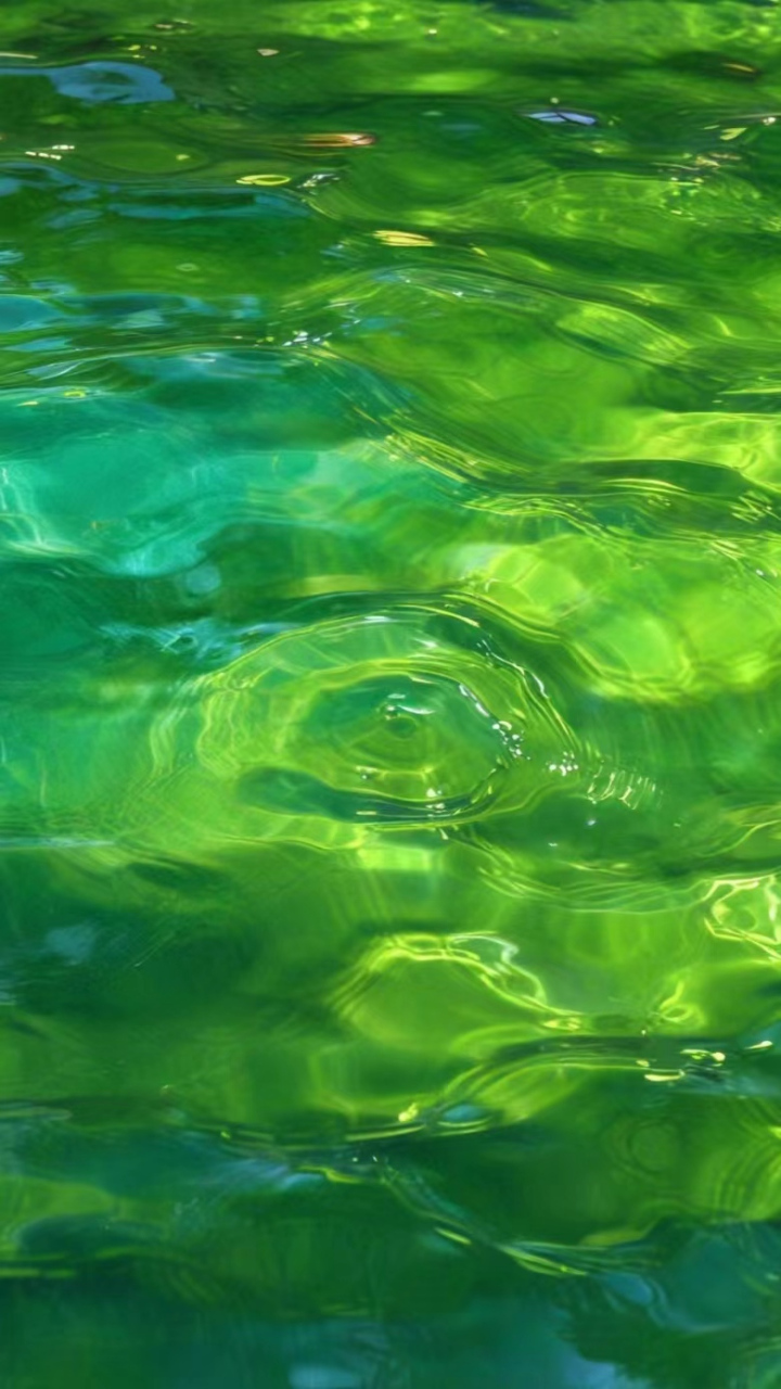 聊天背景绿色护眼高清图片 🍃绿色护眼背景,让你的眼睛舒适放松