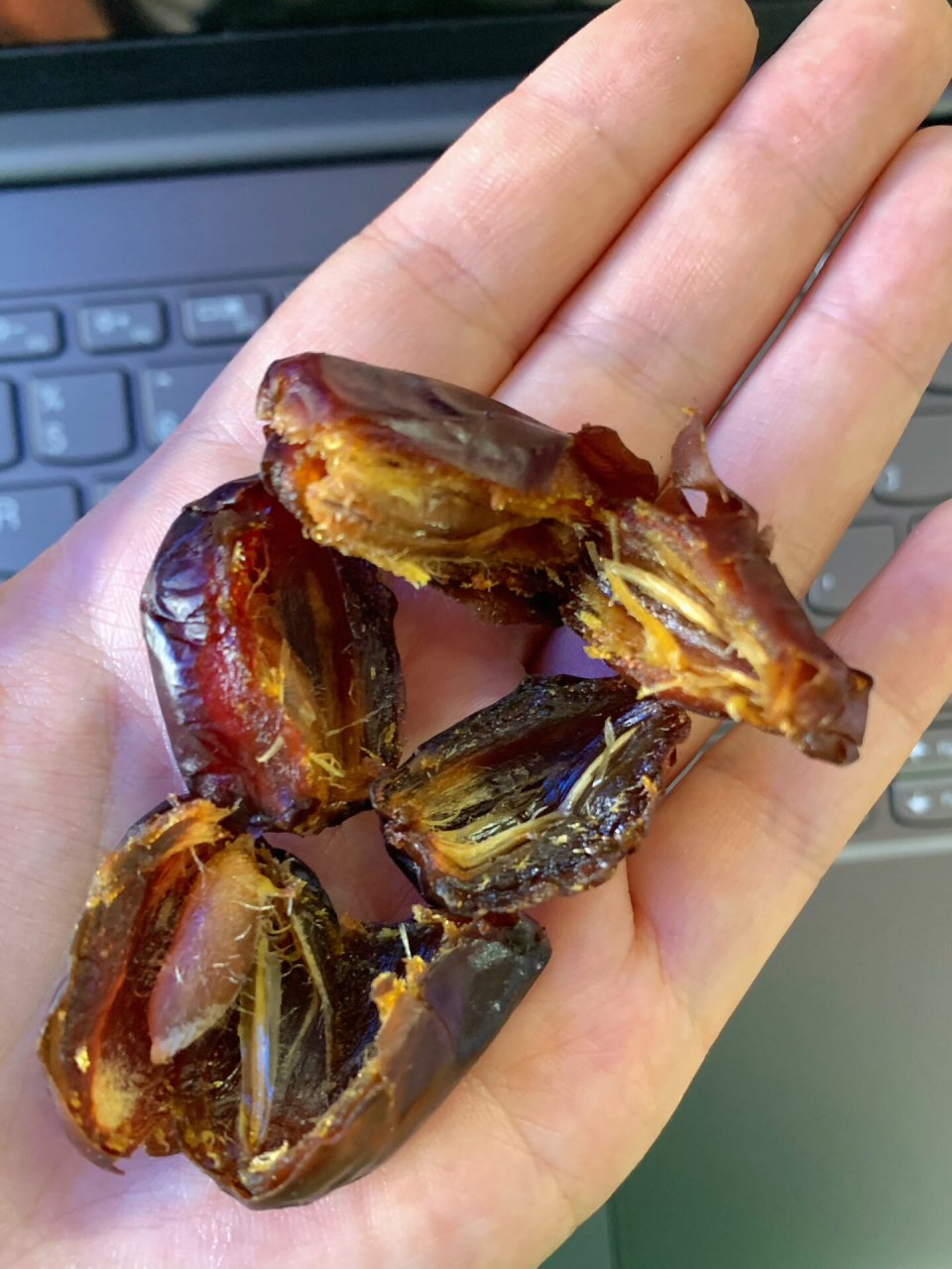 枣中贵族94 迪拜黑椰枣!