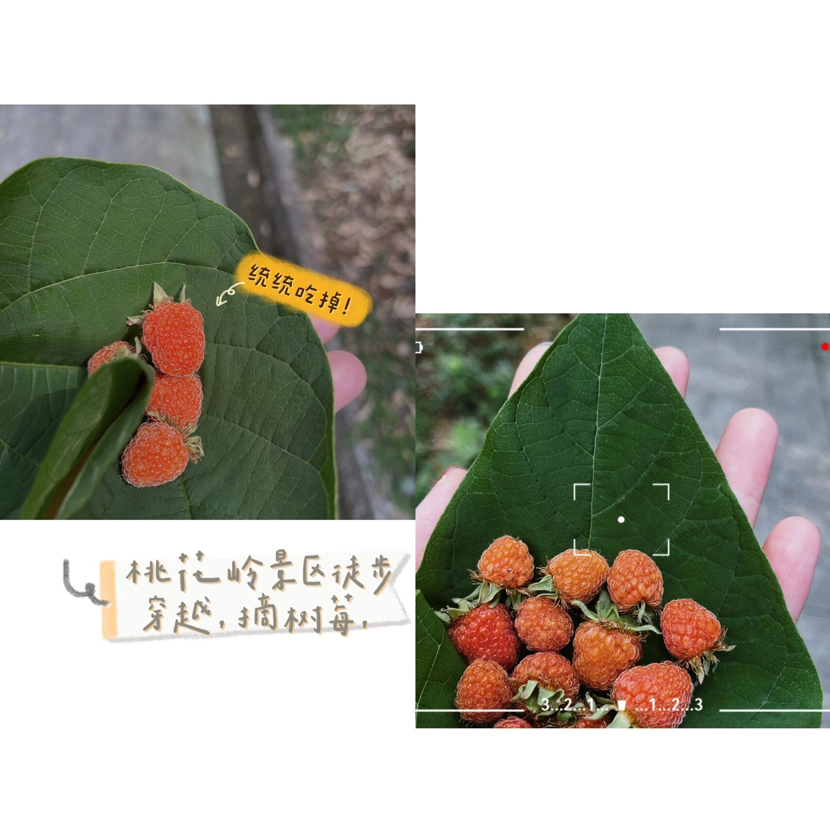 长沙植物博物馆图片