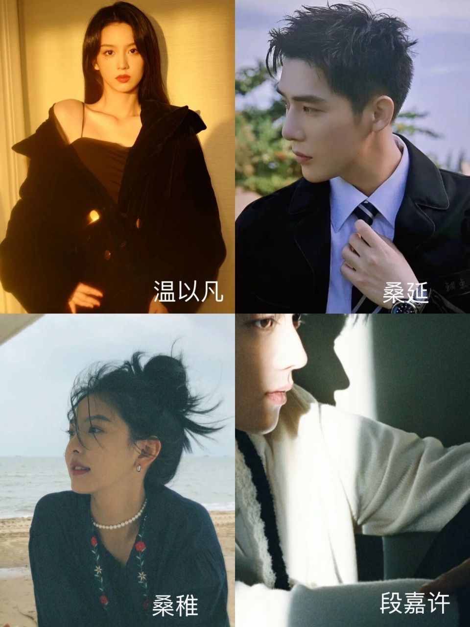 温以凡:周也 桑延:王安宇 桑稚:章若楠 段嘉许