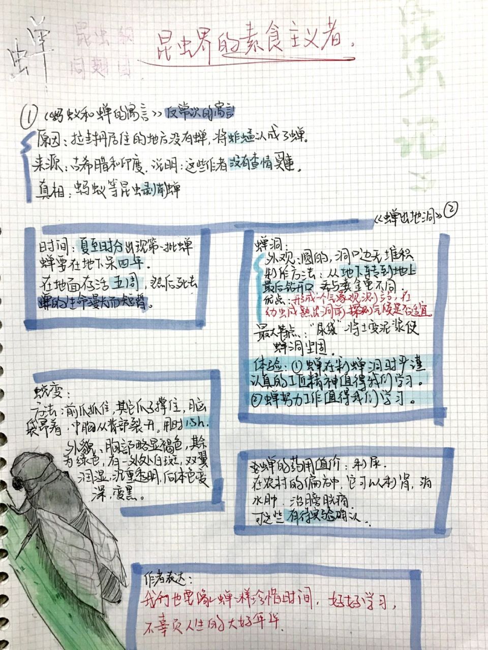 《昆虫记》思维导图(蝉) 希望可以给大家带来帮助!92