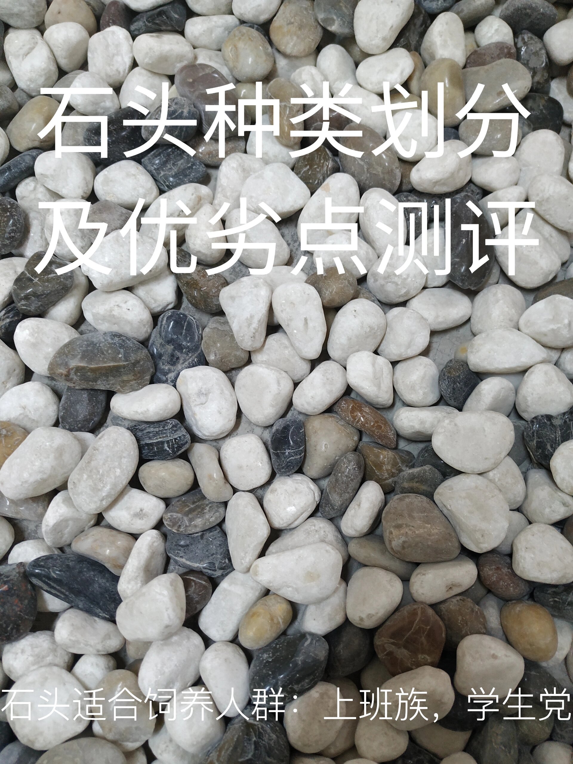 识别石头种类的软件下载(识别石头种类的软件app) 第2张