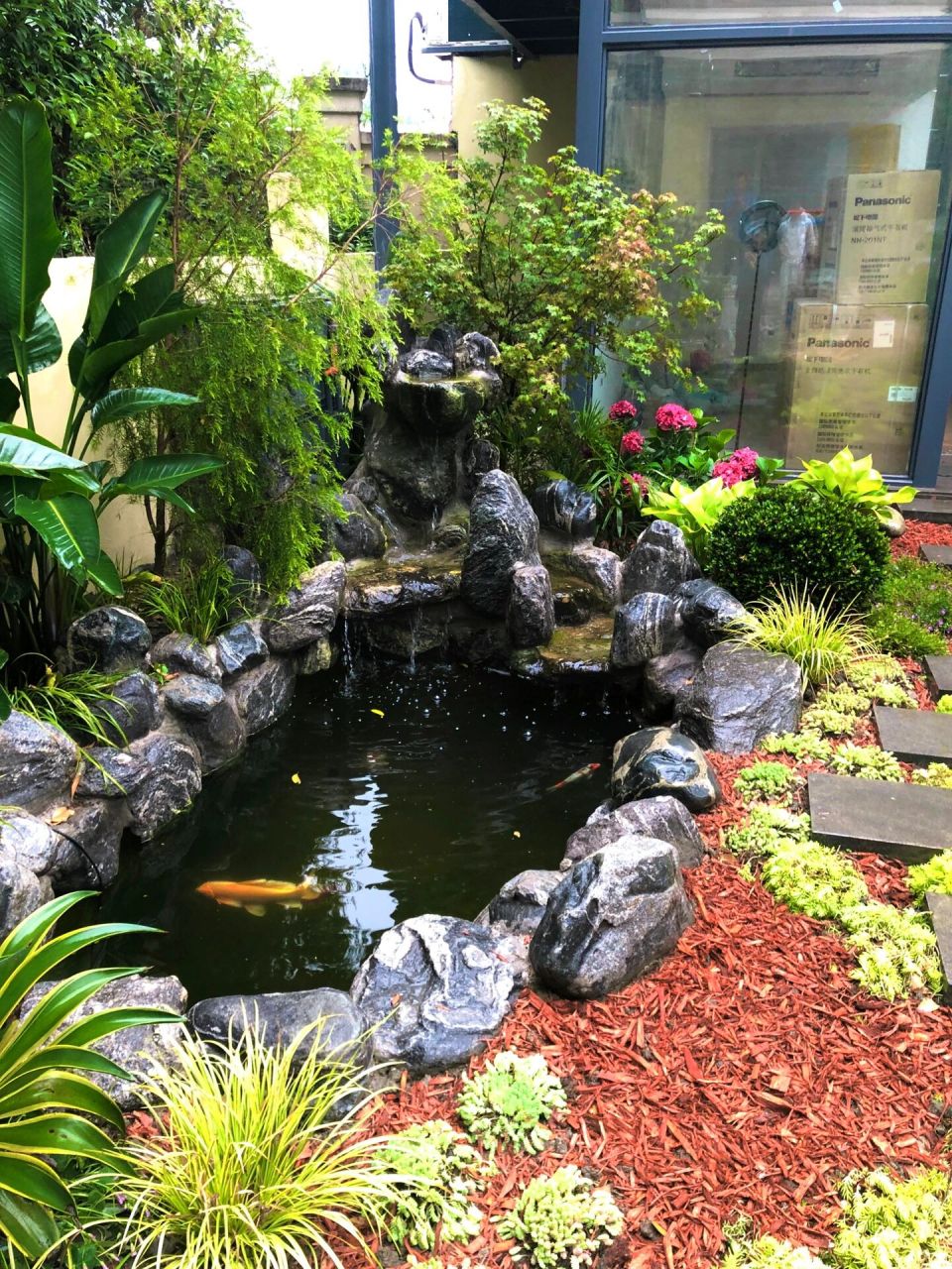 探访庭院鱼池设计成果～池水数日后依旧清澈  	 业主说不期待外出旅行