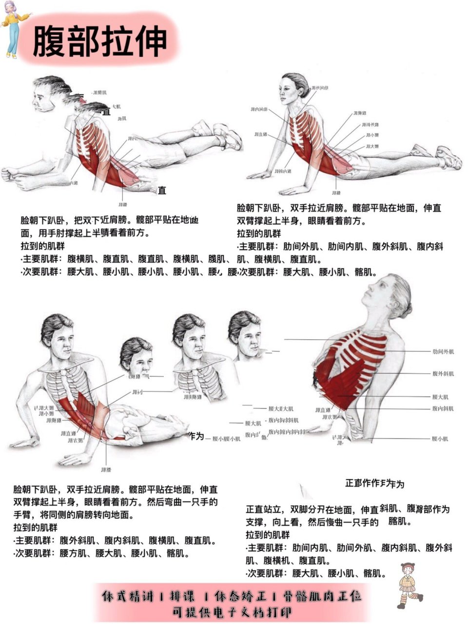 腹部肌肉拉伸动作图解图片