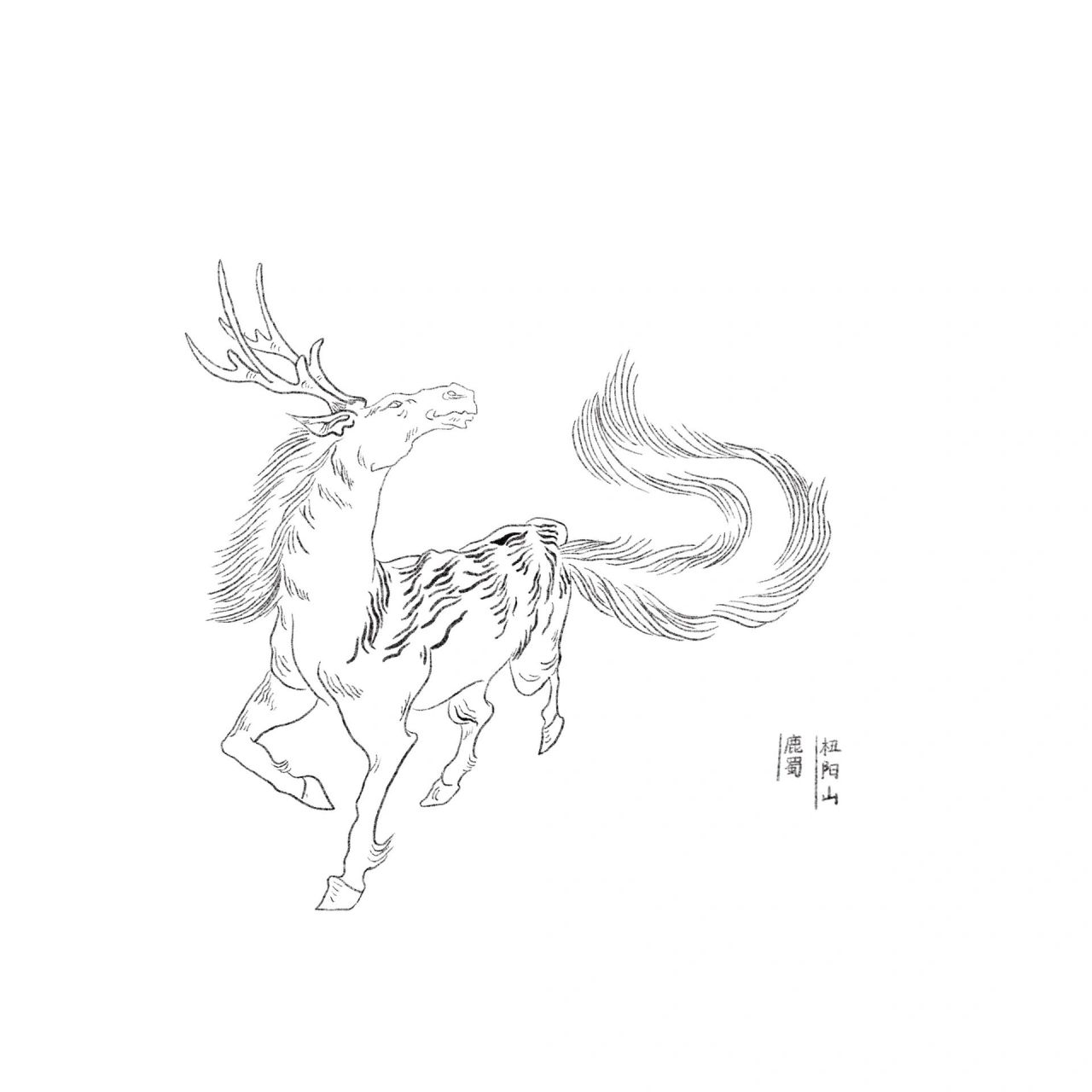 绘制《山海经》第二天—鹿蜀 有兽焉,其状如马而白首,其文如虎而赤尾