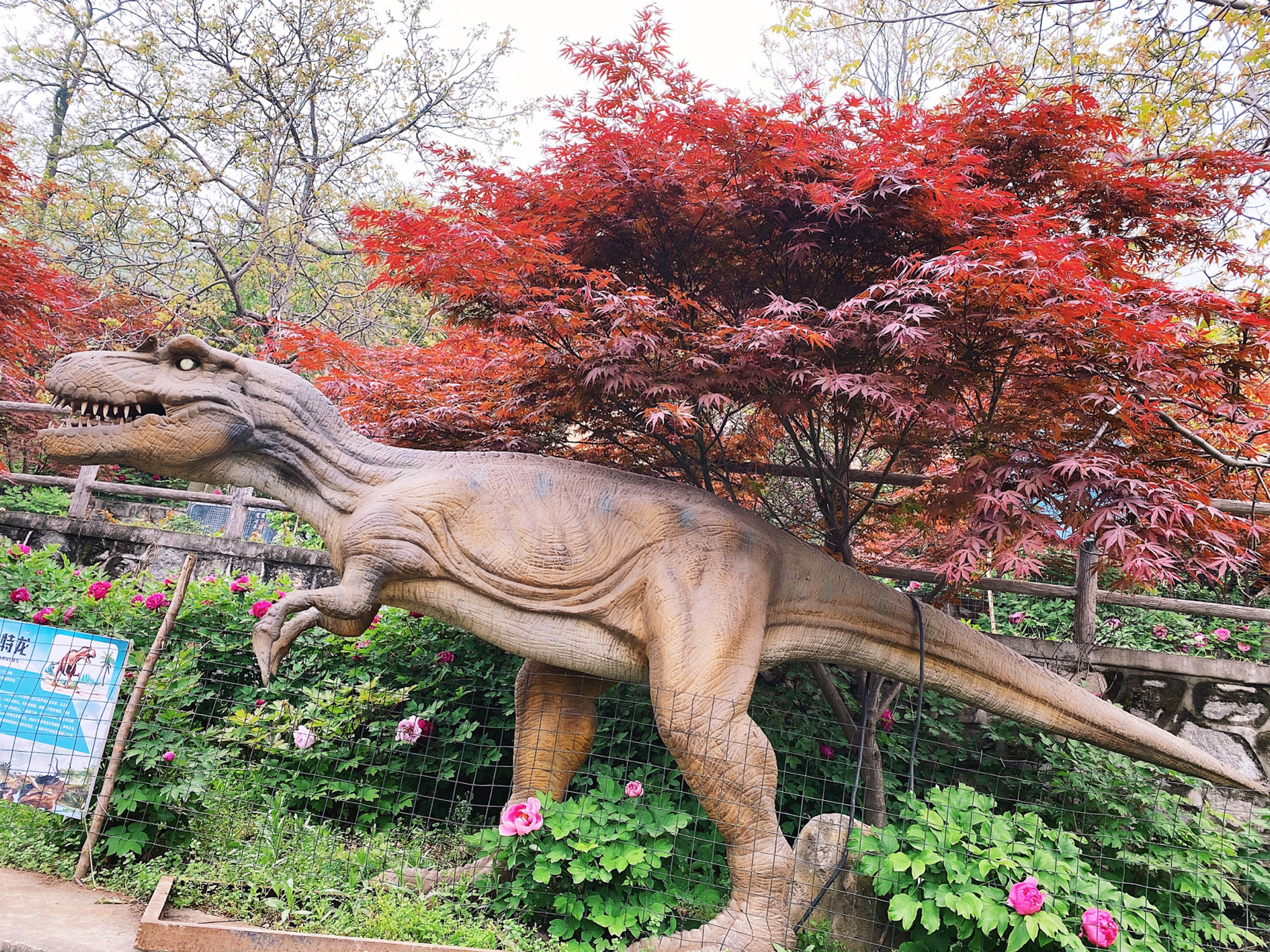 解放双手之恐龙园 之前是长安道恐龙园现在搬了新地址 在西安市鄠邑区